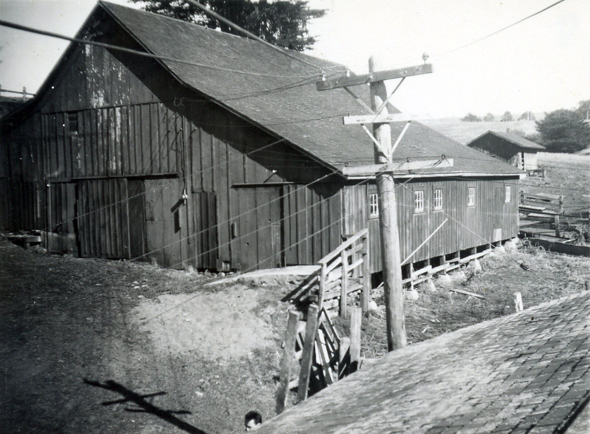 Home Ranch Barn 1940s.jpg
