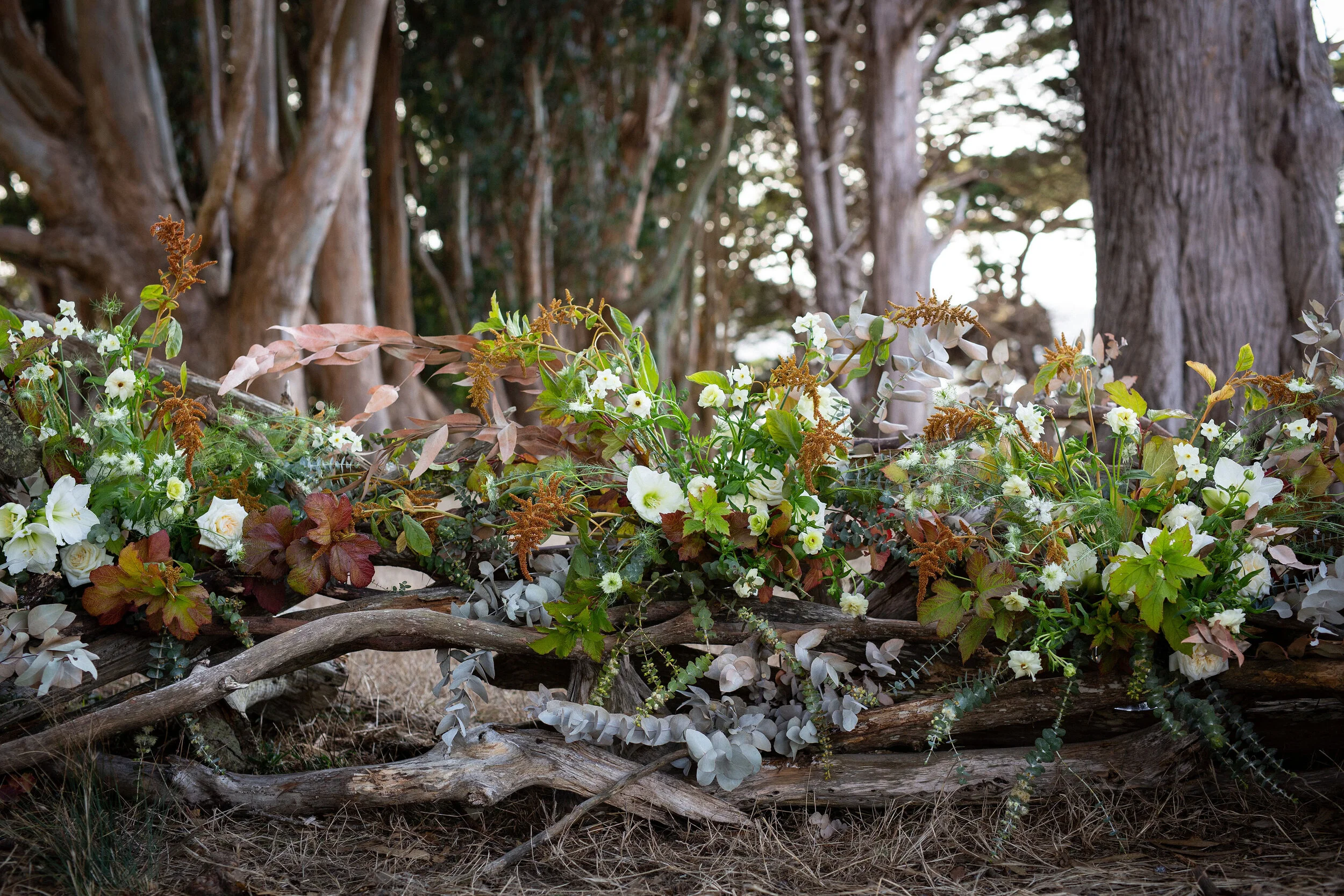 Weddings — Straus Home Ranch