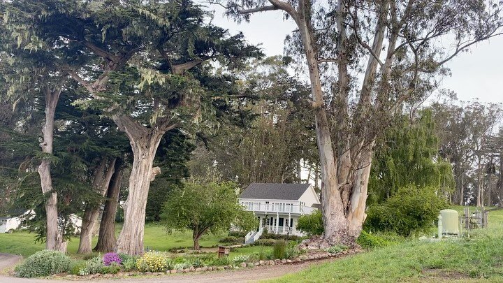 🎶 The skies are alive, with the sound of bird song. 🎶

Recently, Liz, a volunteer birder working on updating the Marin Breeding Bird Atlas - explored much of the ranch, with keen ears and a pair of binoculars.

She discovers: 35 species (not includ