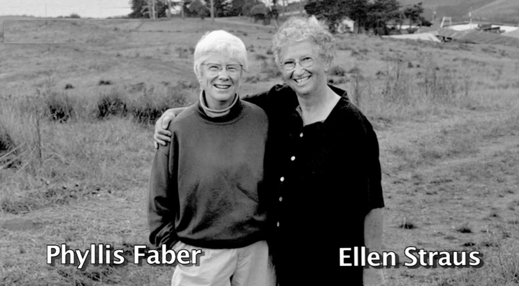 MALT, as told by Phyllis Faber (co-founder)