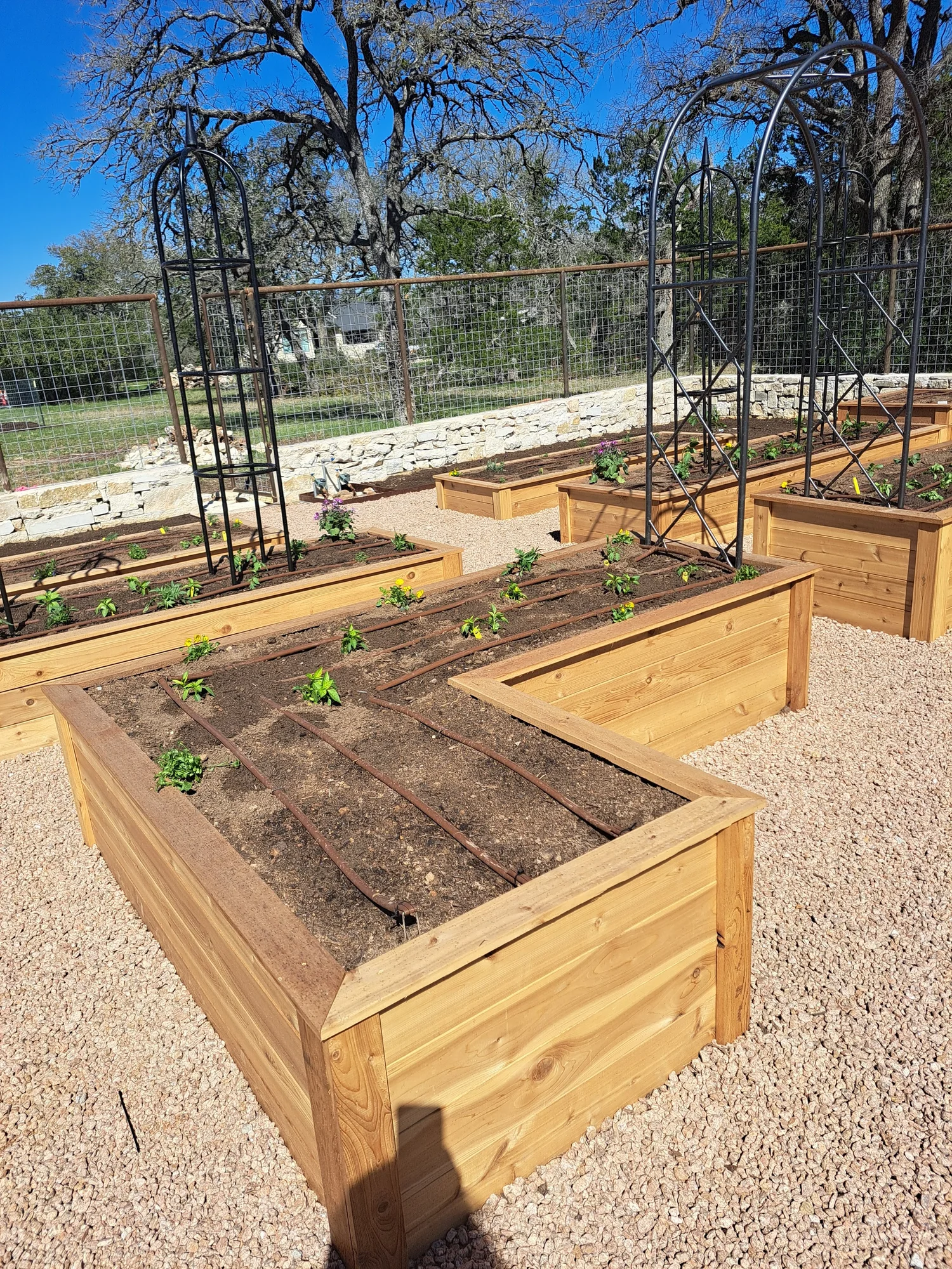 Unearthing the Secrets of Healthy Soil — Texas Raised Gardens