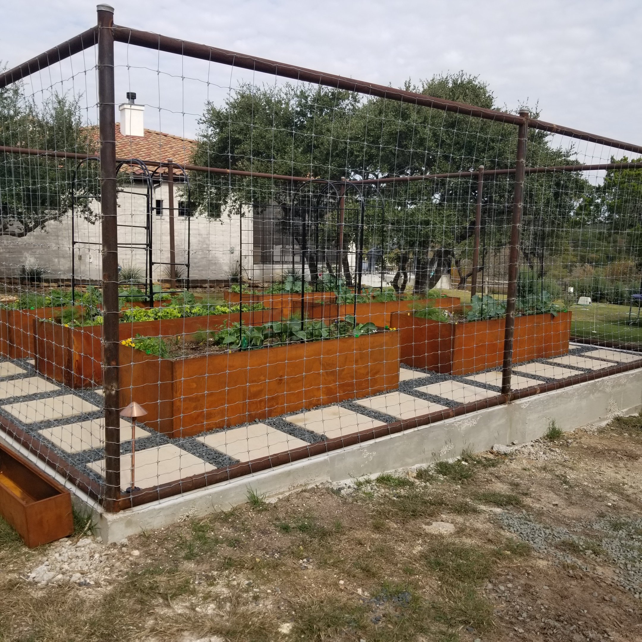 The finished, deer-proofed project. Six raised beds, fully planted, irrigation, soil, custom beds, area prep, trellises - the works! Now our clients can enjoy the good part - growing and harvesting all fall and winter long! (And spring and summer, to