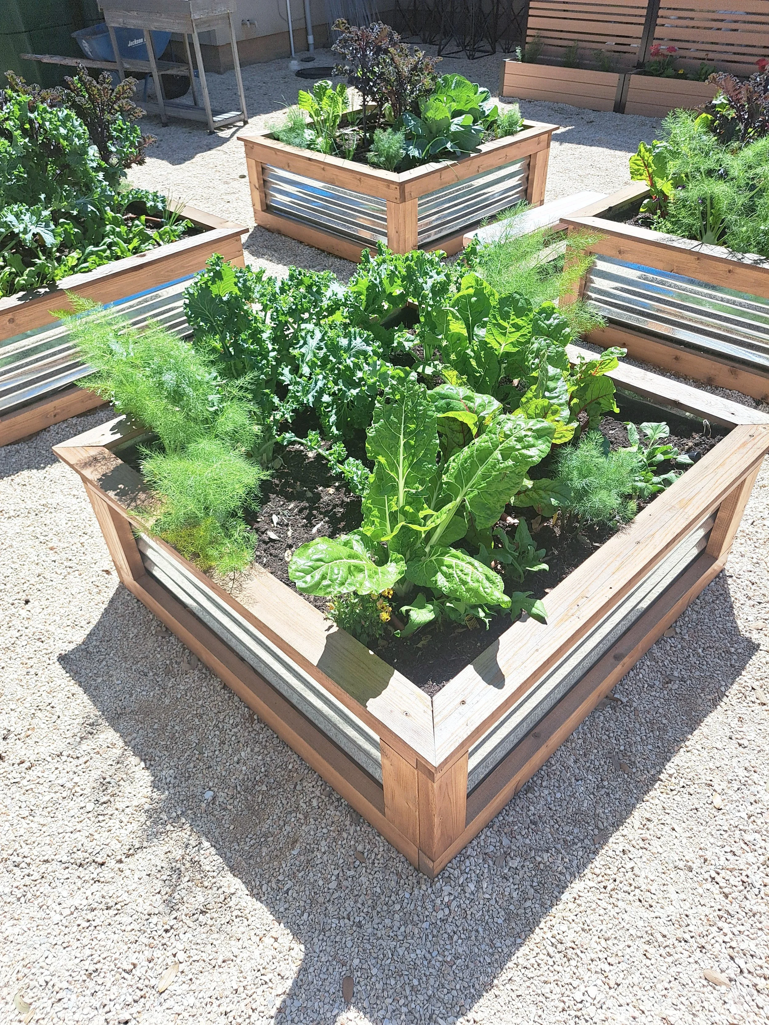raised beds installed in austin