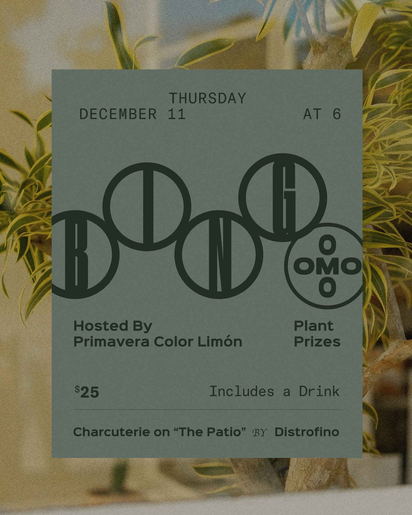 BINGO &middot; Tickets Now Available
$25 includes a drink: Wine, Beer, or NA option.

Hosted by Primavera Color Lim&oacute;n
Plant Prizes

Come cozy up with us, for a relaxed BINGO night - good drinks, charcuterie from Distrofino, and the chance to t