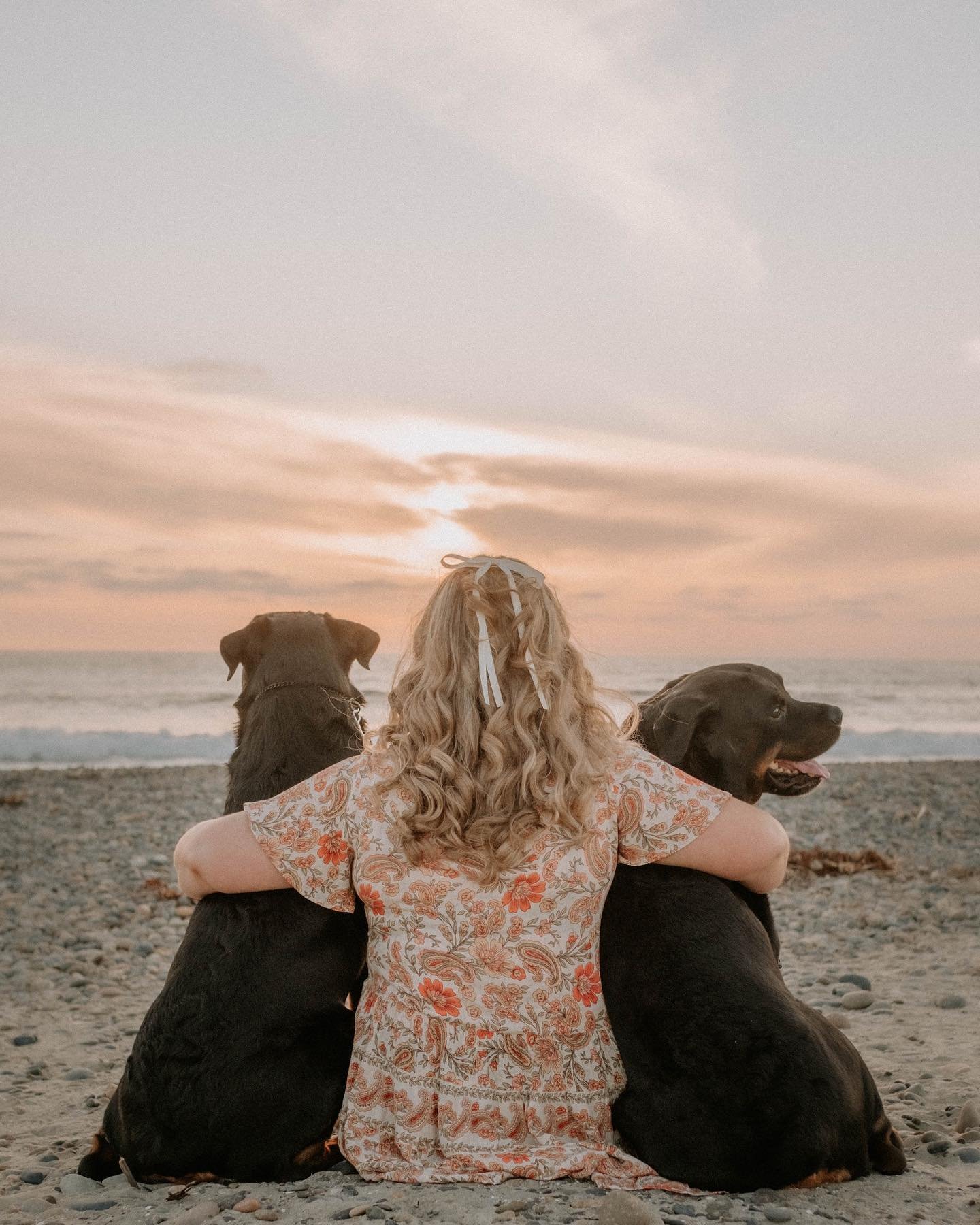 @kirstentappan and her rottie babies have been part of my photography journey since the beginning! This was our fourth session together. The love between a girl and her dogs is one of my absolute favorite things to capture. Thank you @kirstentappan f