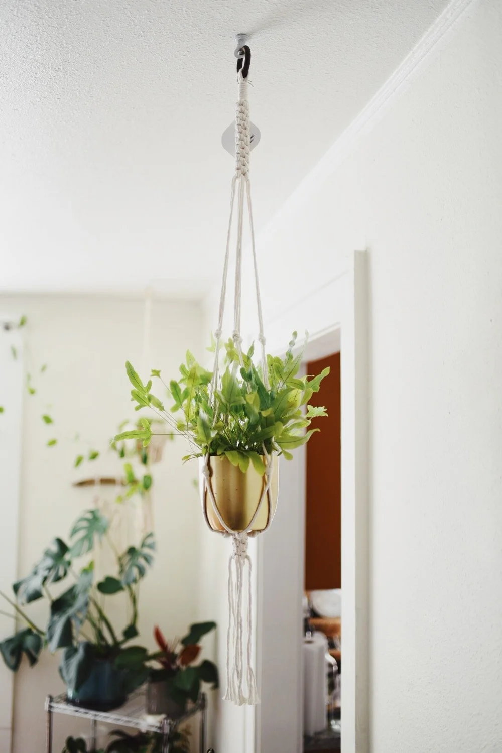 Plant Hangers by MyMacrameThings  La Vie Botanique
