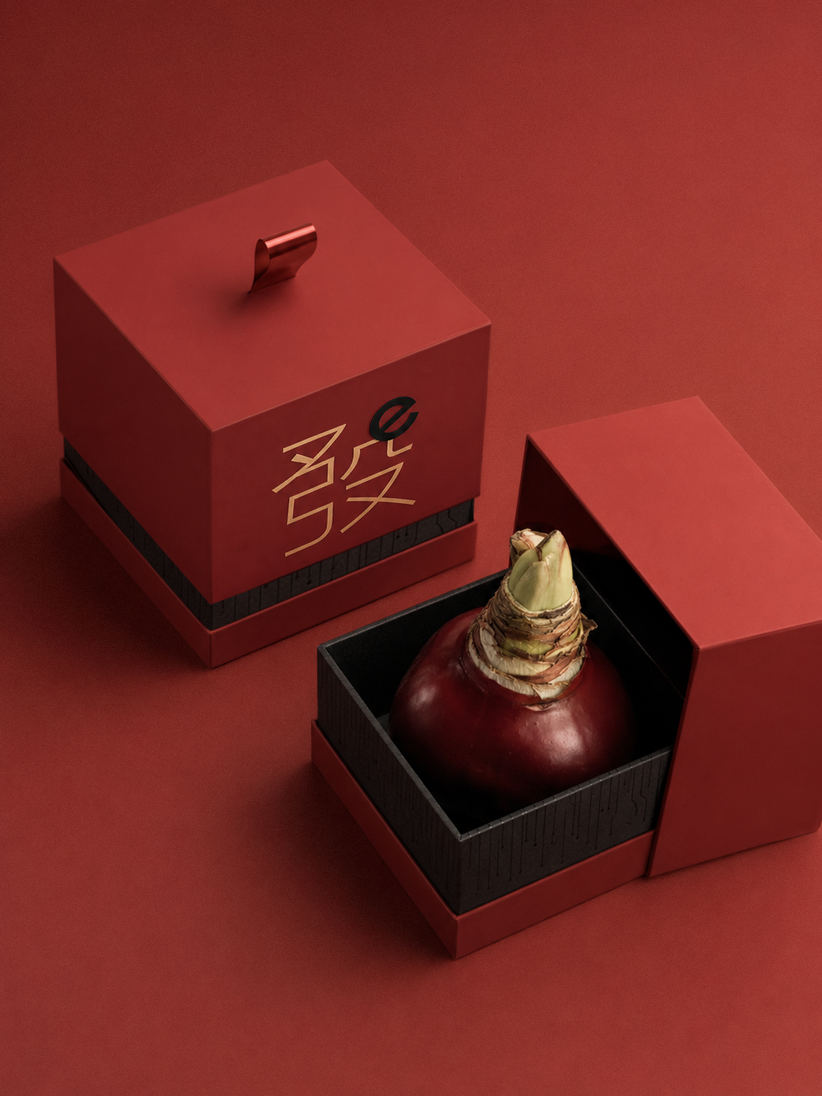 Evowera-Seasonal PR Gift Packaging Design