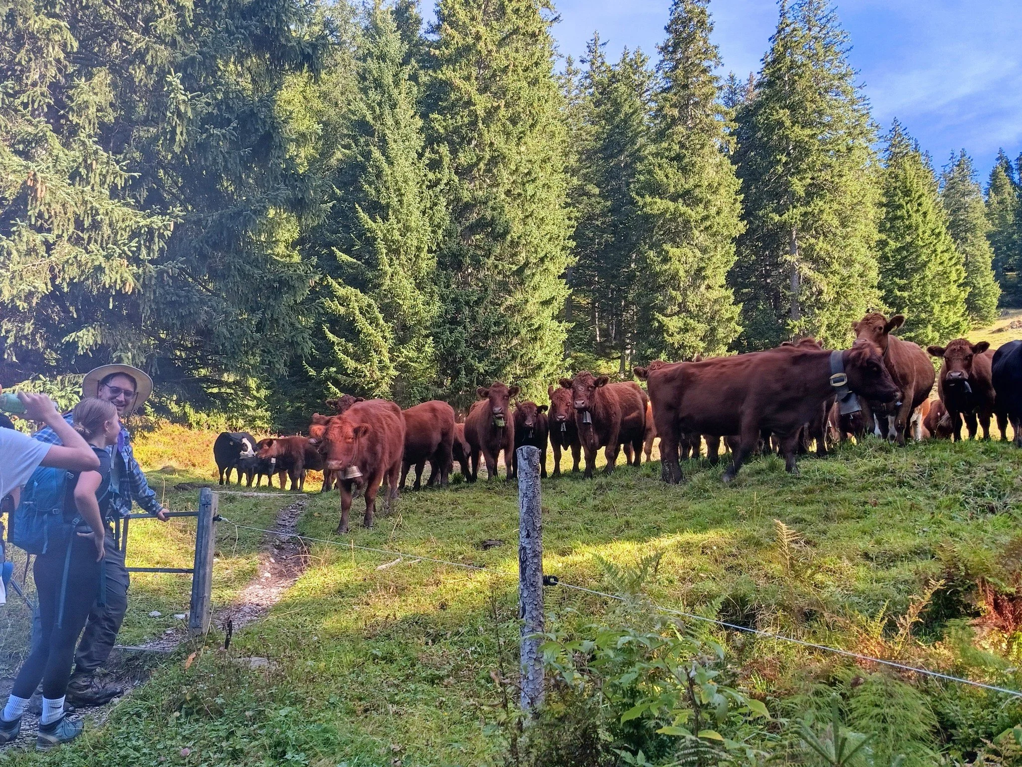 🌄🎒

Weather permitting, our 4-day hike is coming up soon! Last week, we already went on a Test Hike &ndash; something many of our older alumni might not have experienced yet. Here are a few impressions from one of those trial adventures. ✨⛰️

---&g