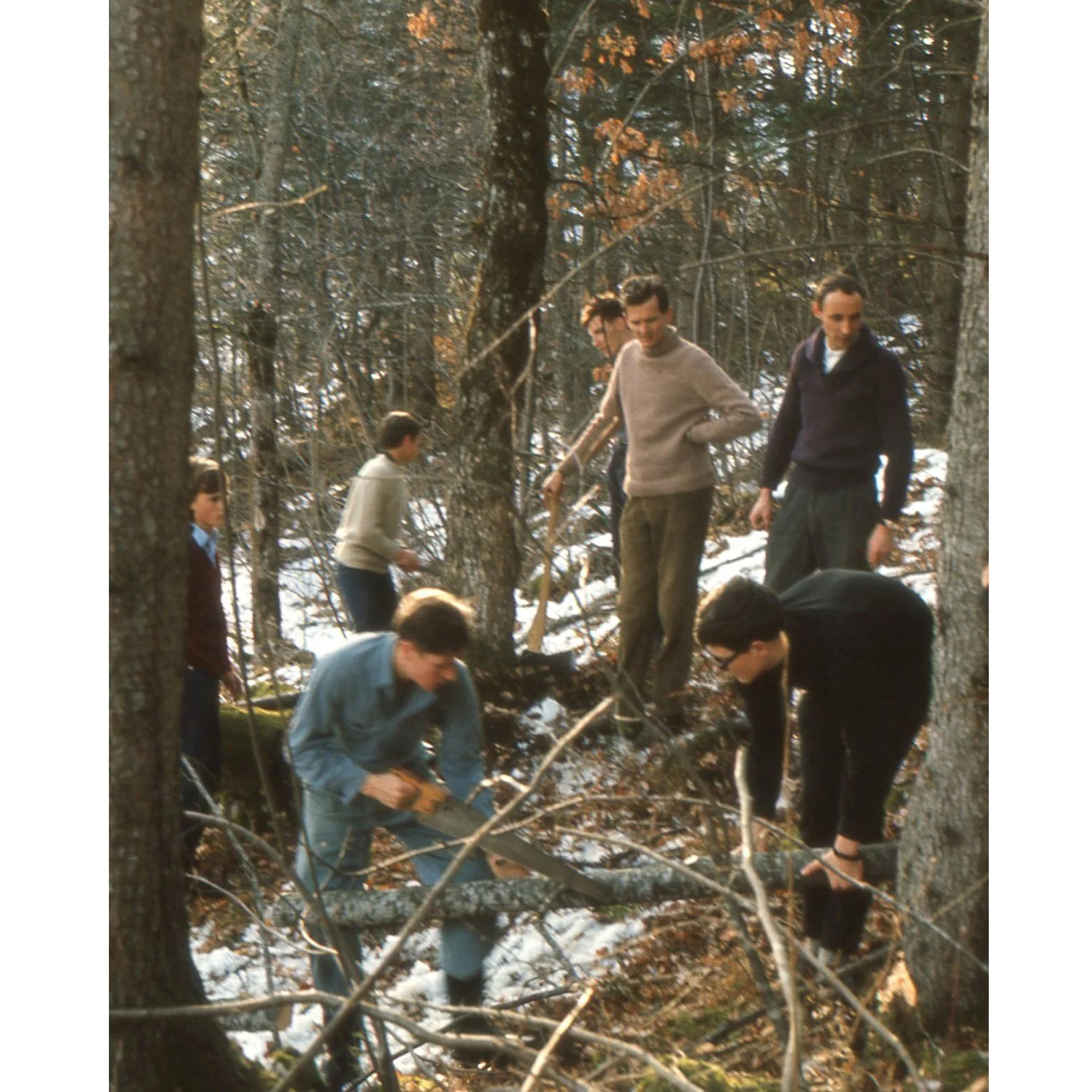 ✨ Throwback Thursday ✨

In the late 1960s, change was in the air at the Ecole. On the forest slope, students and staff worked side by side, clearing branches and preparing the ground for something new to rise: The Max-Cassirer-Haus, the Osthaus and t