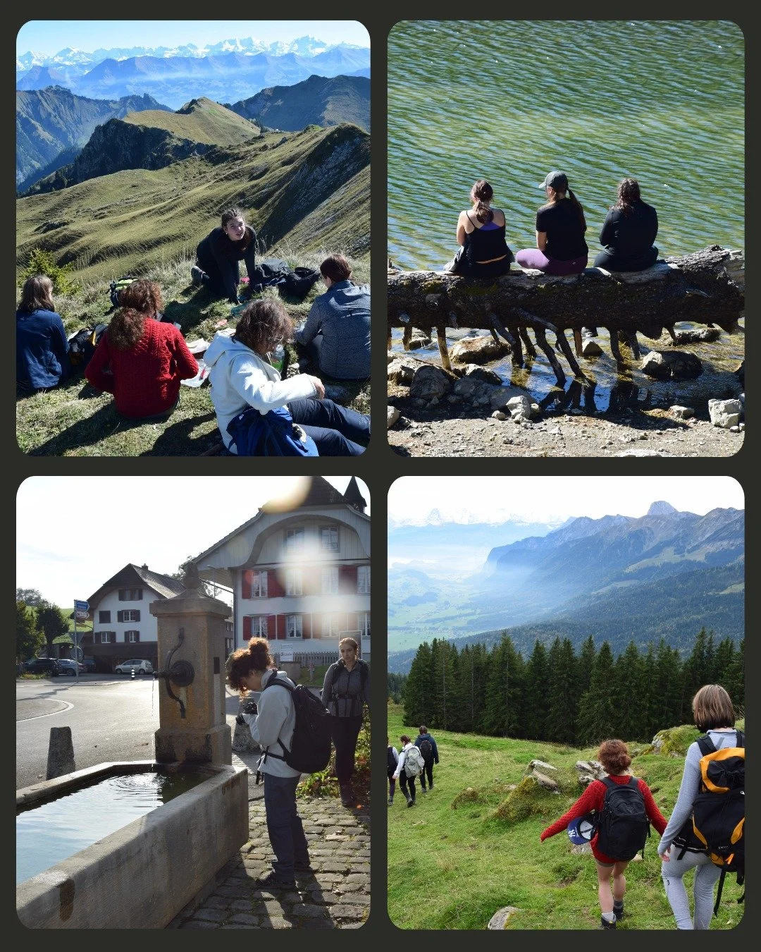 🏔️ Four-Day Hike Highlights 🏔️

Last week was our traditional four-day hike in the Alps &ndash; and the photos and videos tell their own stories.

A mix of routes, landscapes, and moments: from shared meals and mountain sunsets to groups who braved