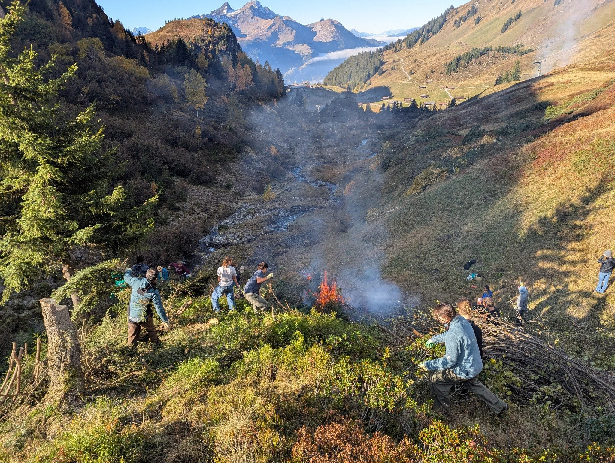 🌿 This Wednesday was Alp Day: When Ecolianers roll up their sleeves and support the local farmers in the mountains. Cutting bushes, gathering branches, burning them, and keeping the alpine pastures open. Teamwork with a view!

It all began as a way 