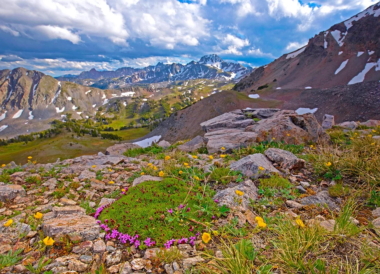 Moss Campian at the ridgeline. Madison range Montana.Echo Peak