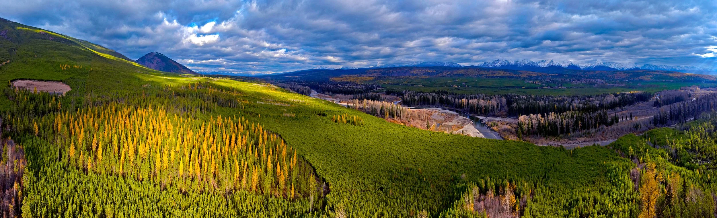 North Fork Flathead River, fall larches