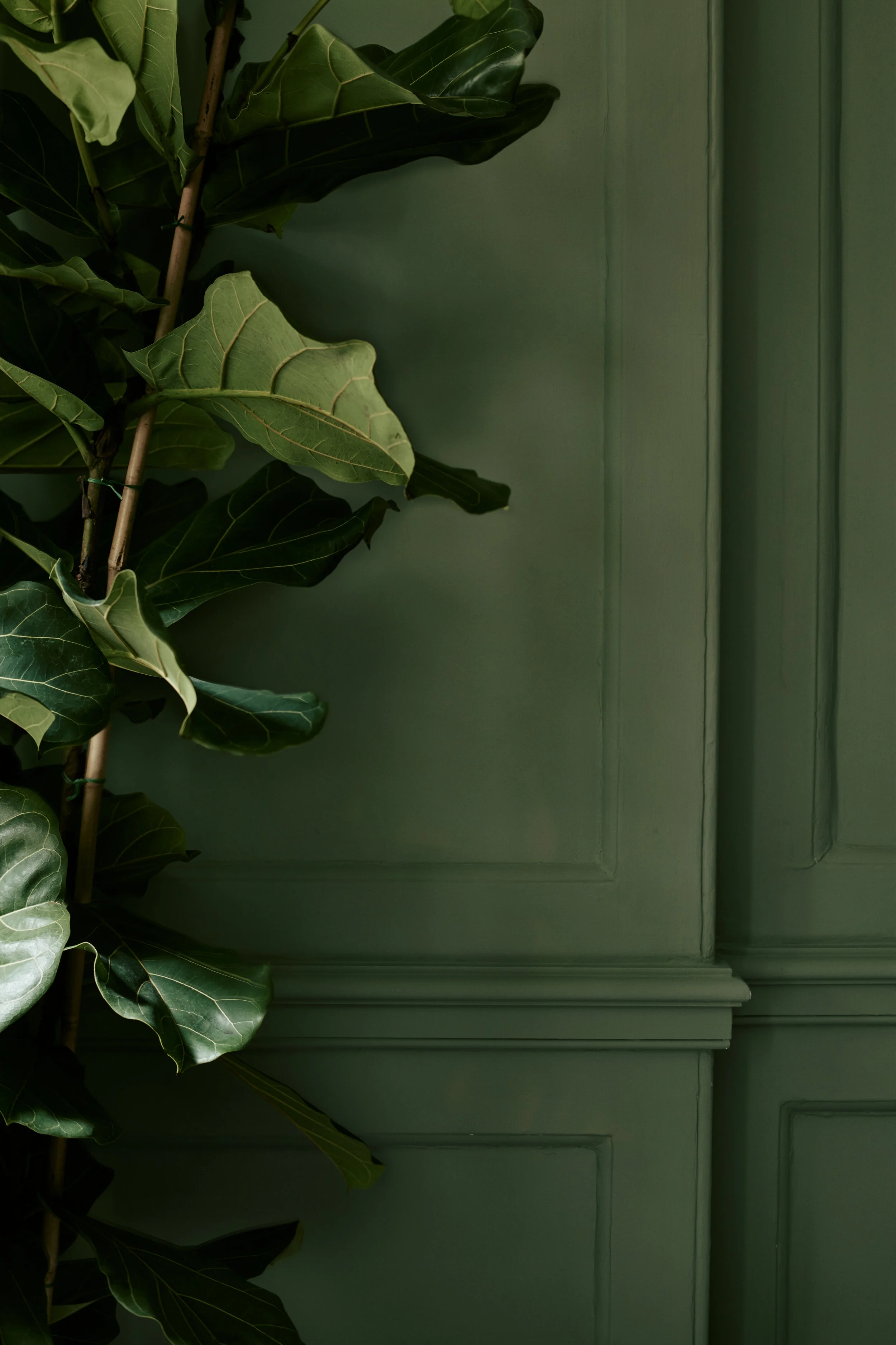 BB&R Offices Web8.jpg