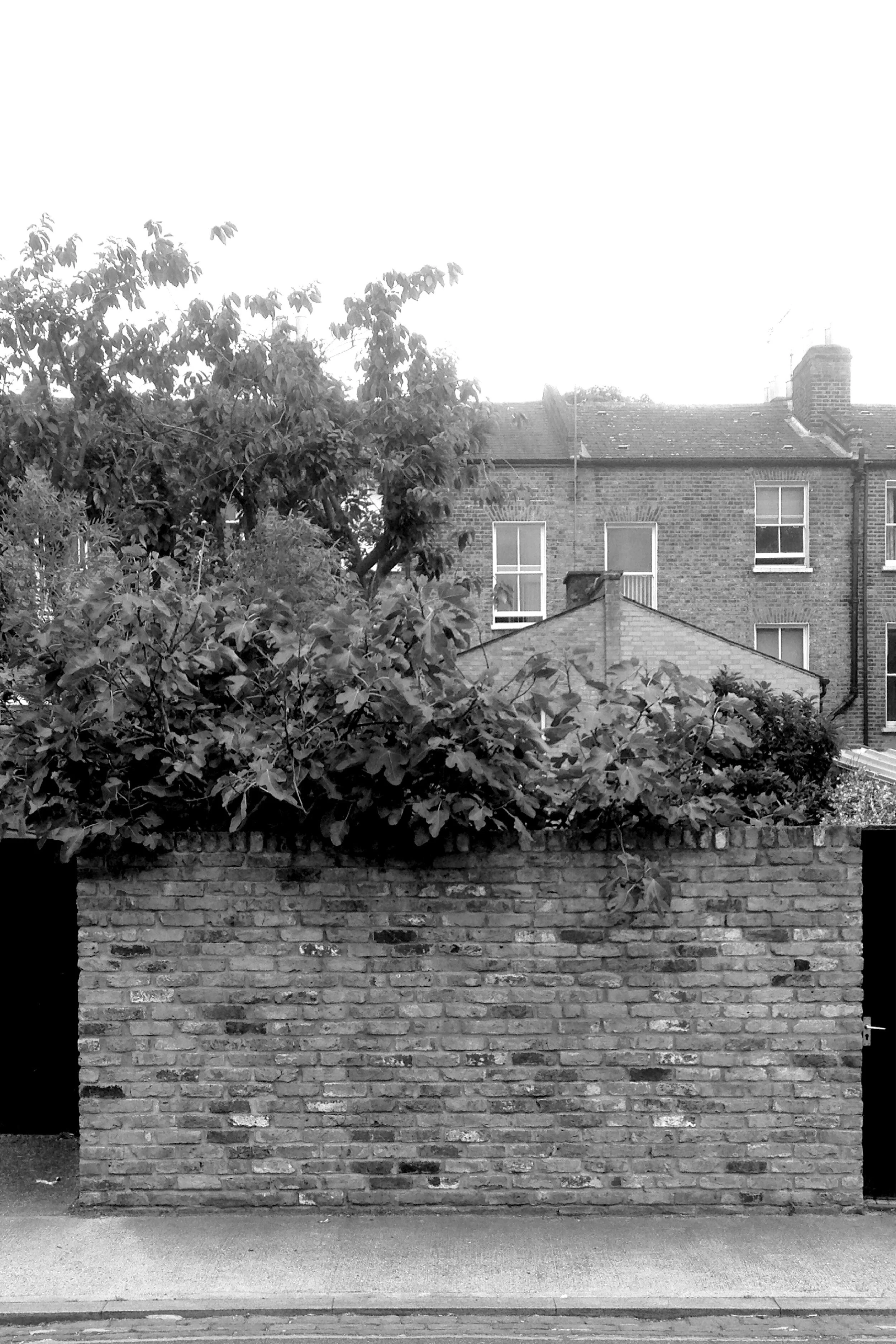 Morpeth Road Housing