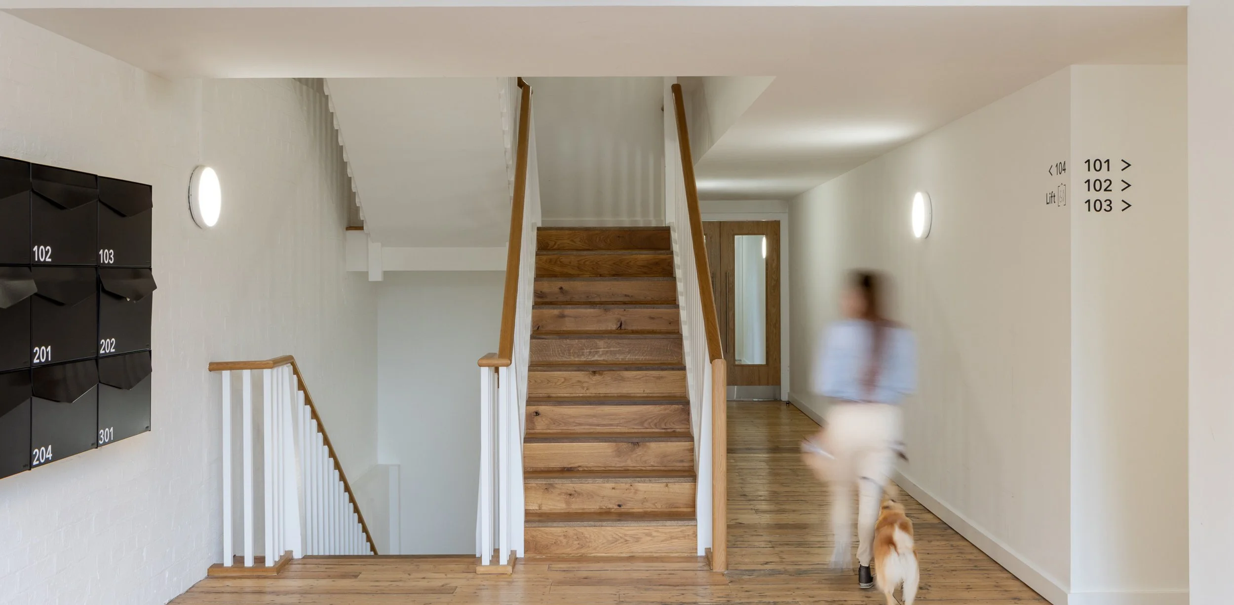 260202-slideshow images19.jpg