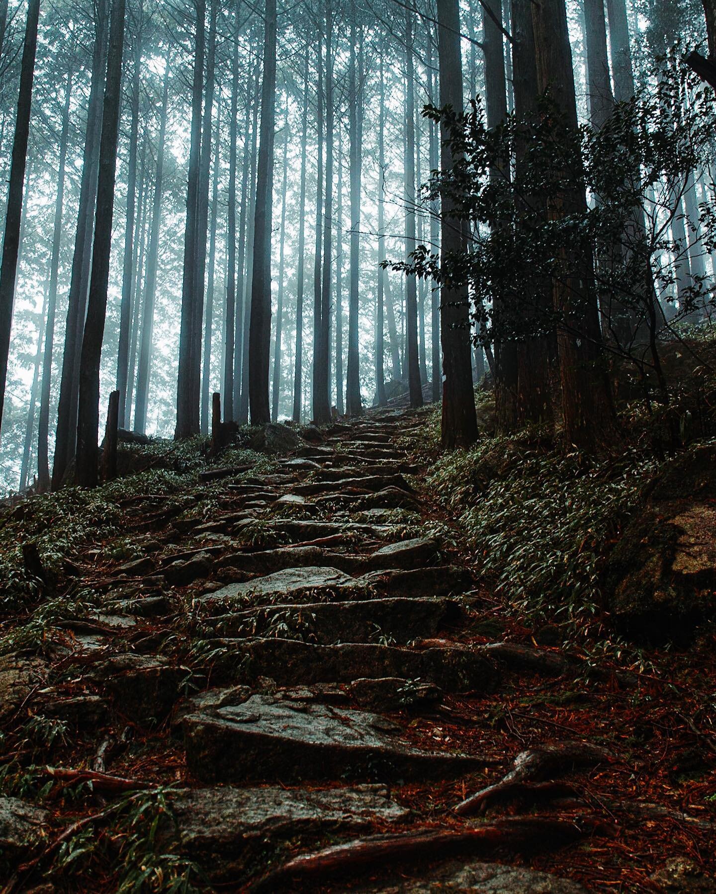 The Kumano Kodō pilgrimage trails have been used for over a thousand years and take you over mountains, deep into forests, past rivers and through valleys. The path is ancient (and at times was easier to walk beside rather than on), and certainly put