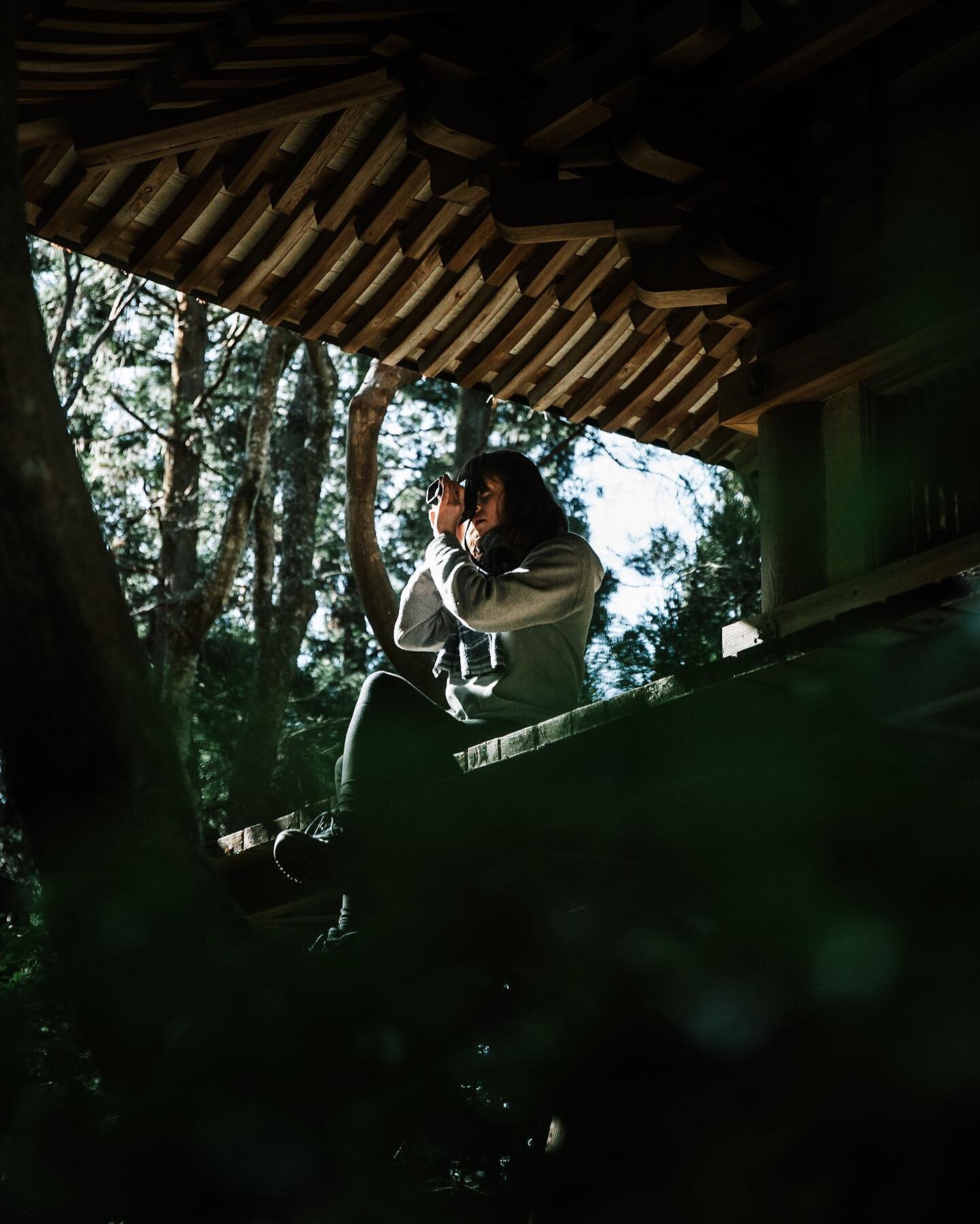 Wandering around Kasugayama primeval forest we found an abandoned shrine, and whilst the shrine itself had been taken down the pagoda was still intact. Sitting up there in the middle of the forest for a while was one of my best memories from my recen