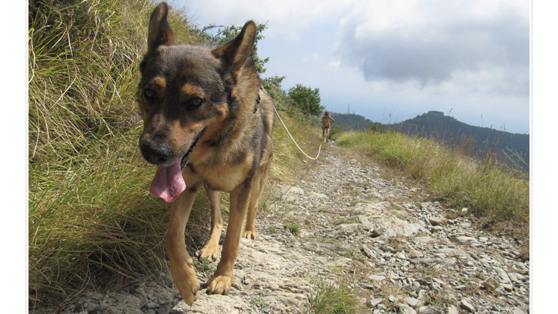 Uno strumento "per e verso" la libertà