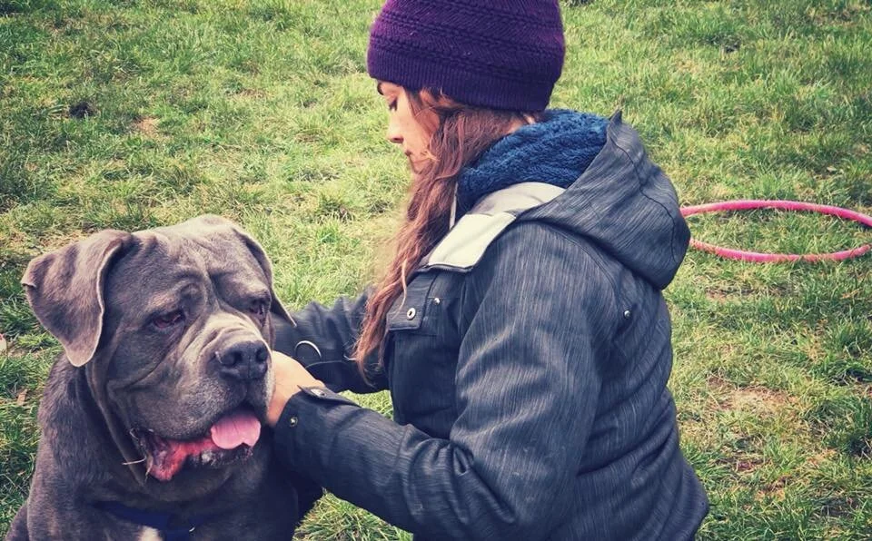 TELLINGTON TTOUCH®,      un linguaggio interspecie