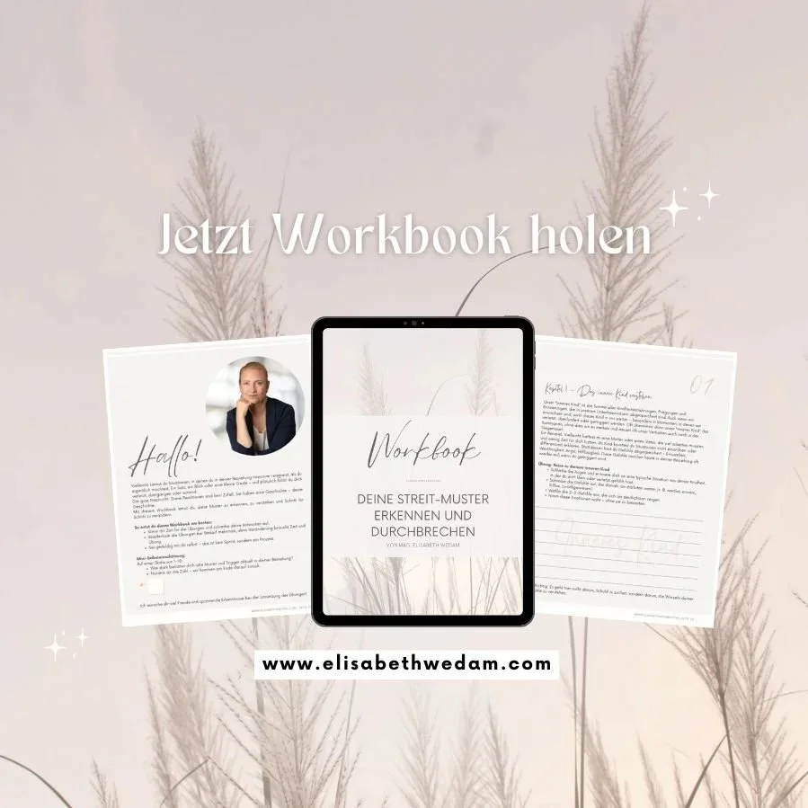 Workbook Streit-Muster