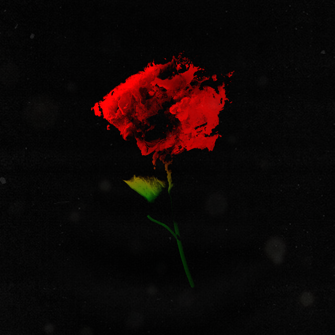 ROSA 1080.png