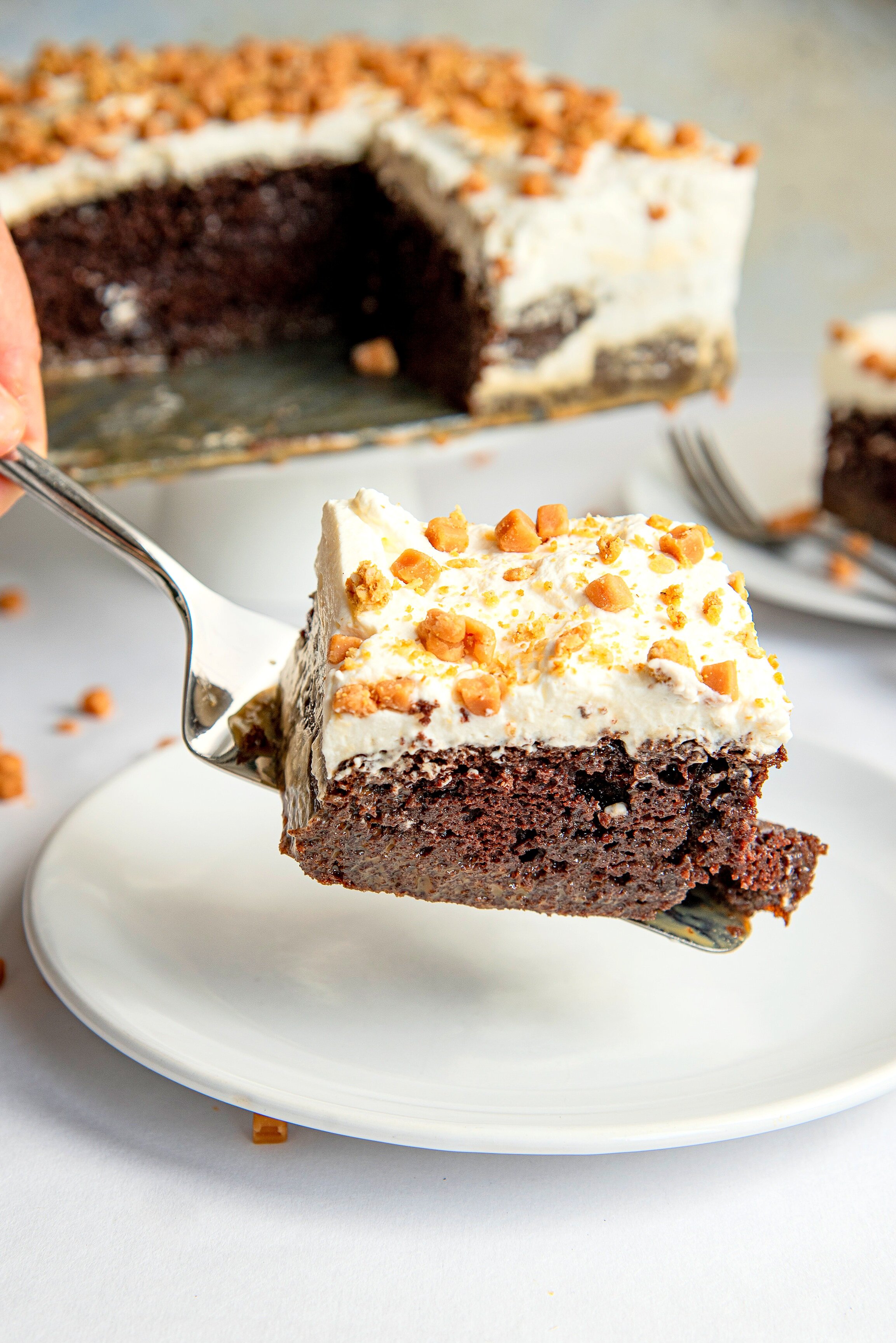 betterthananythingcake_styled_HR_3.jpg