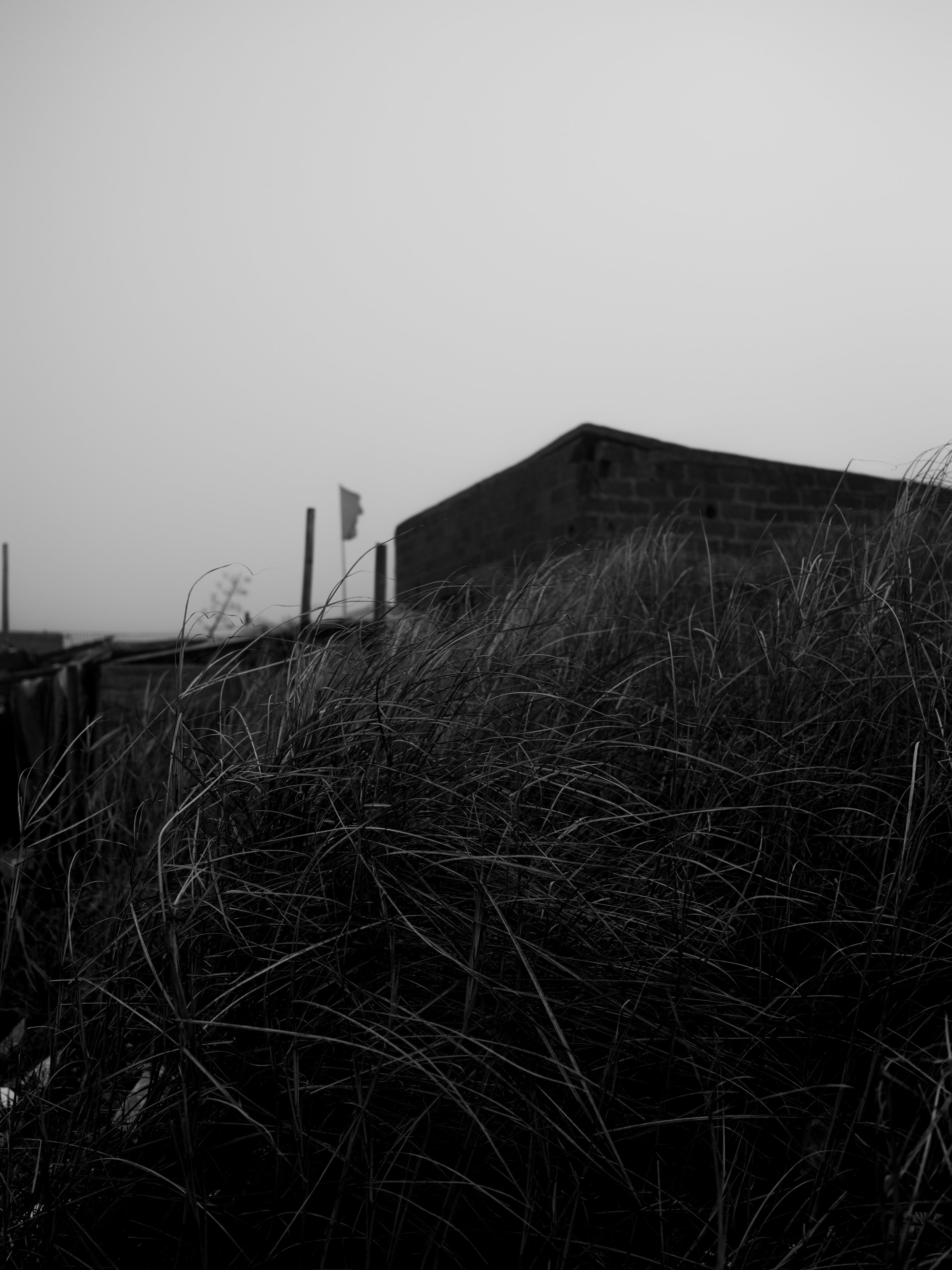 DSCF0913.jpg