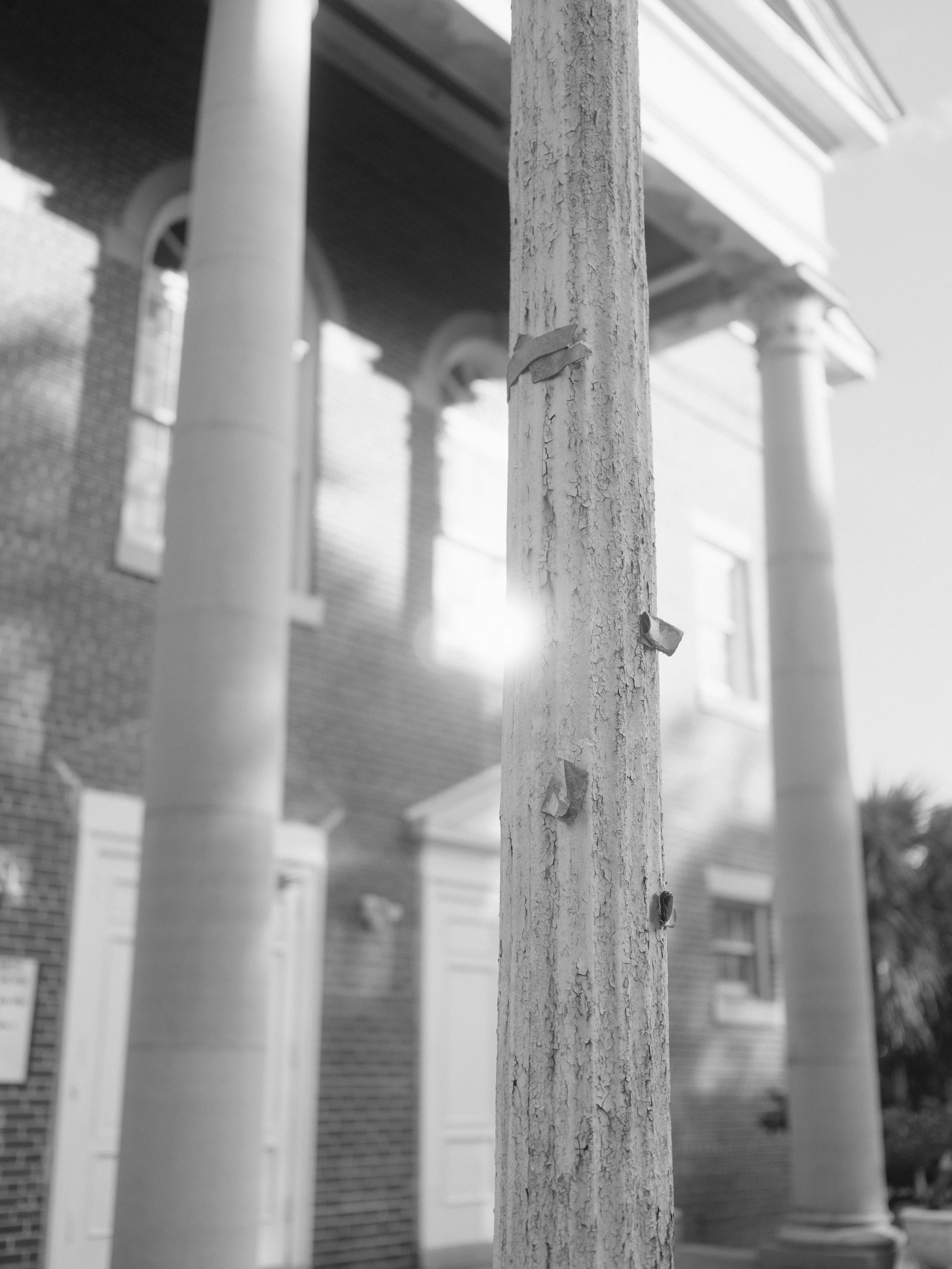 DSCF9179.JPG