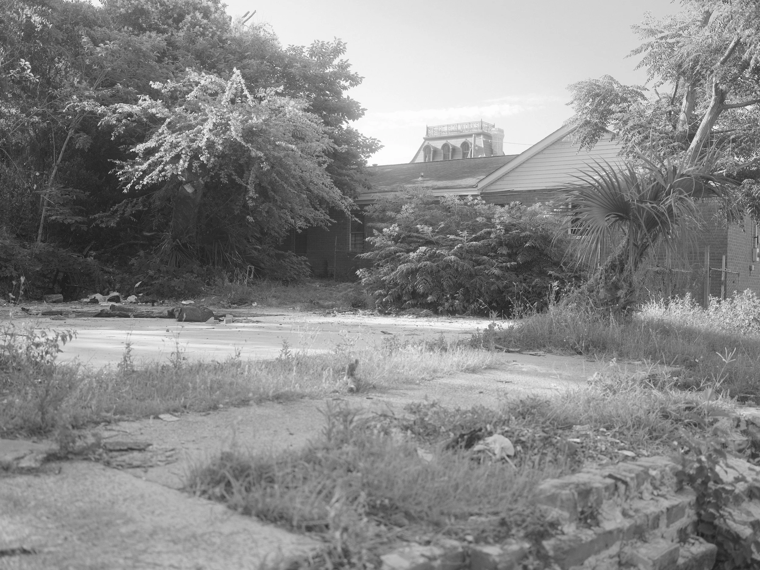DSCF1797.JPG