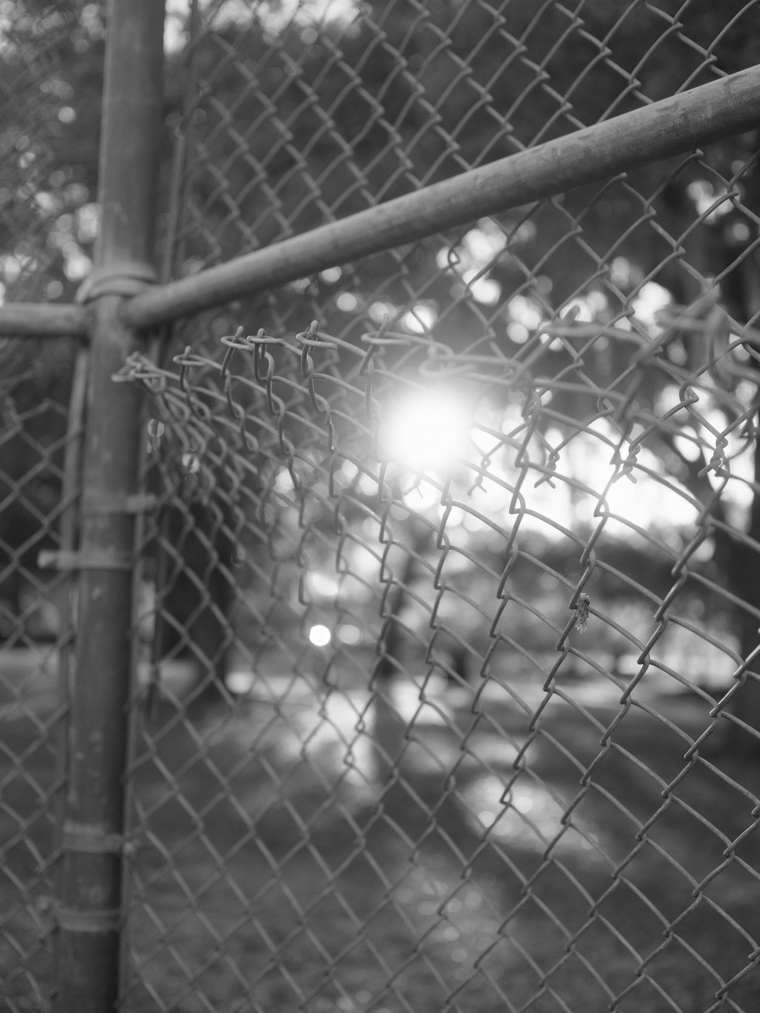 DSCF8916.JPG
