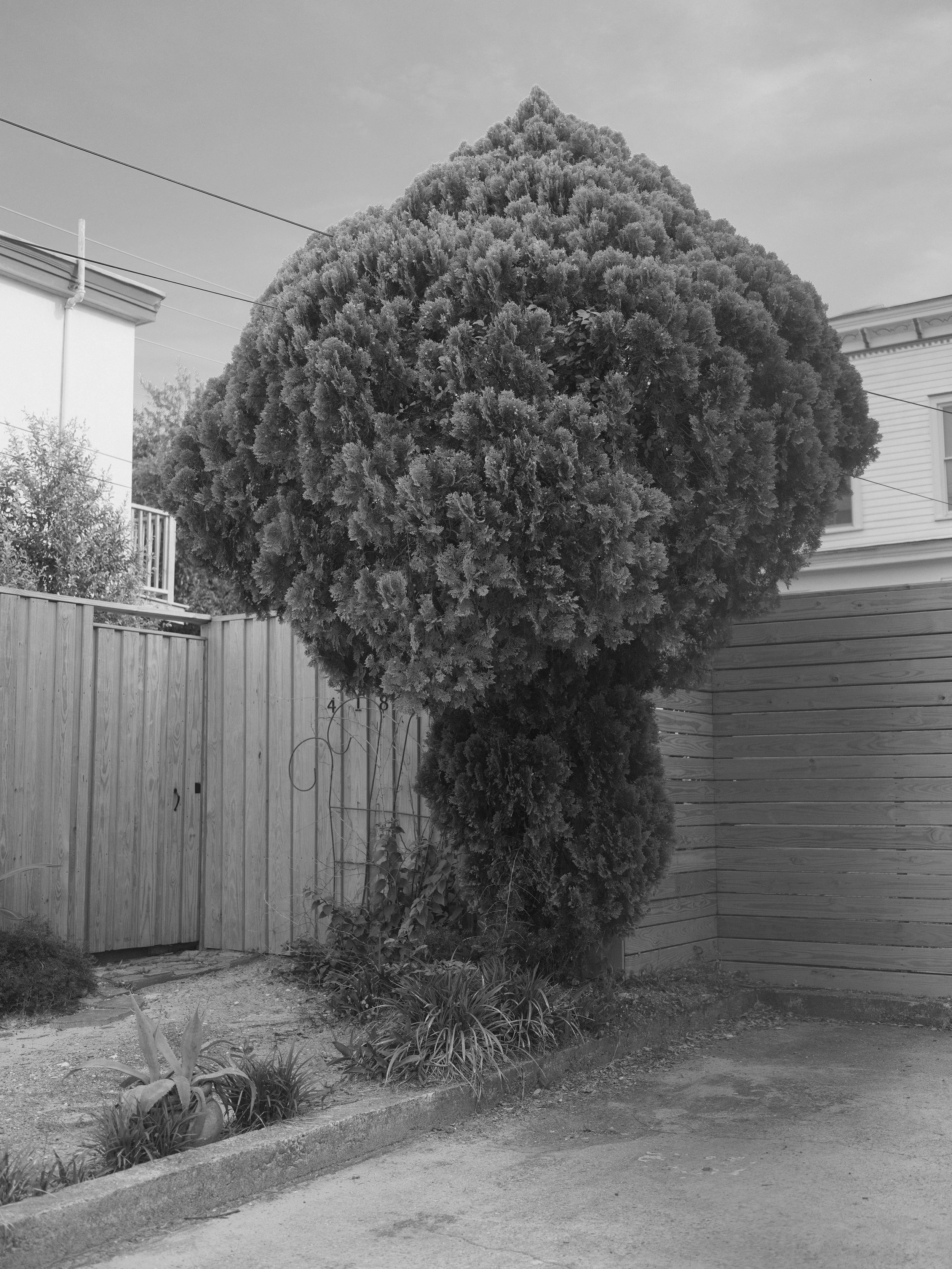 DSCF1767.JPG