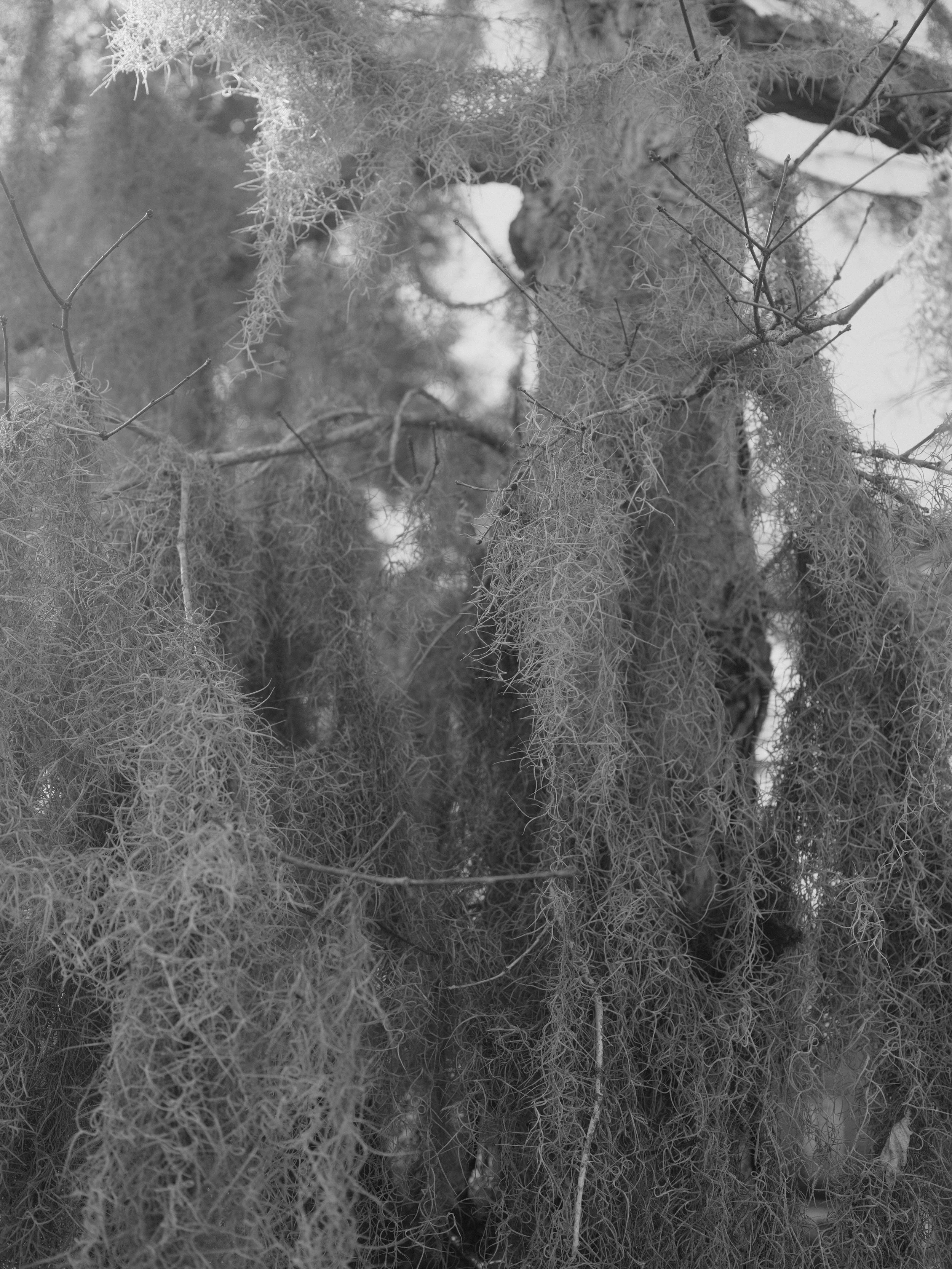 DSCF8963.JPG