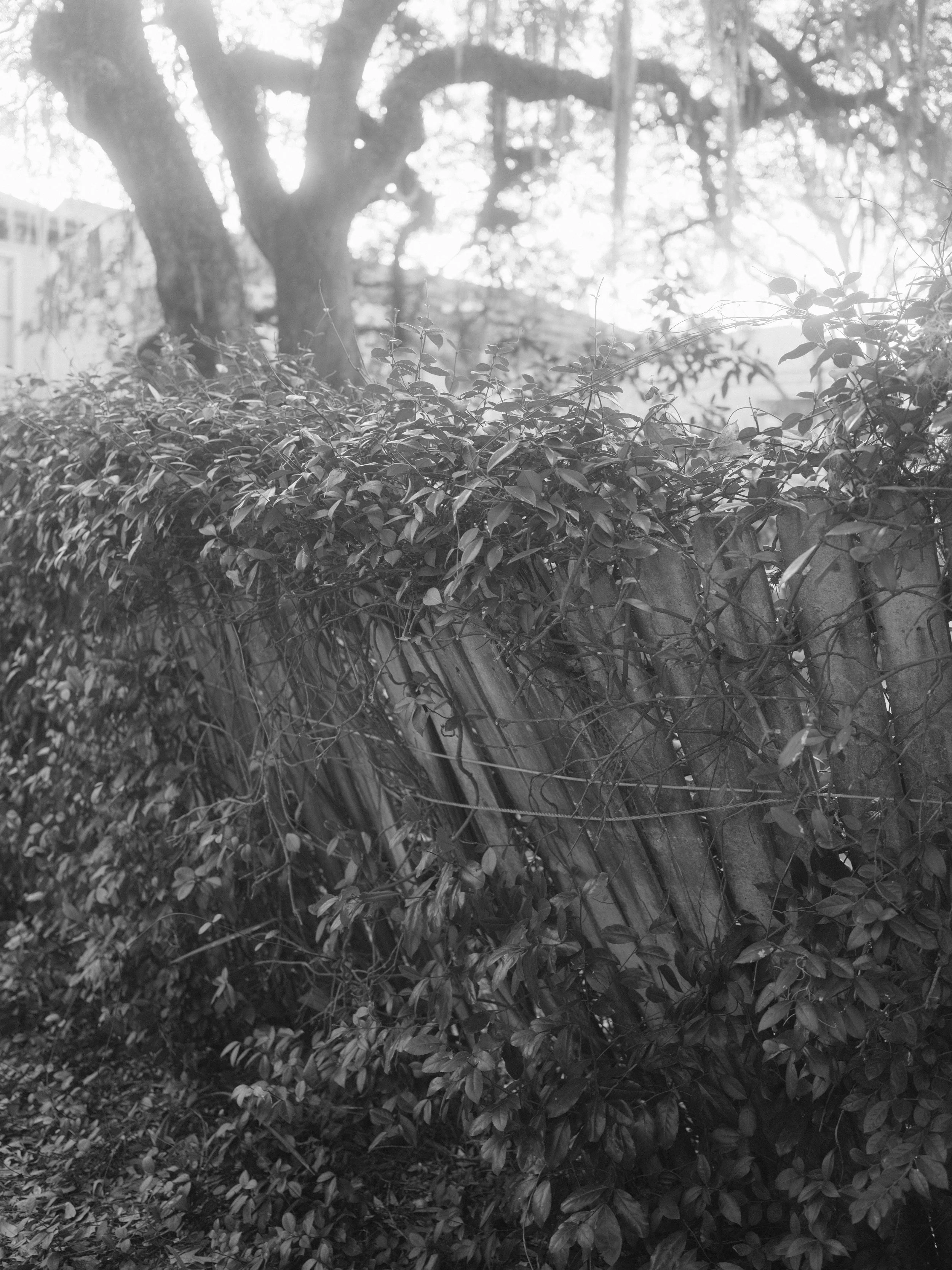 DSCF9148.JPG