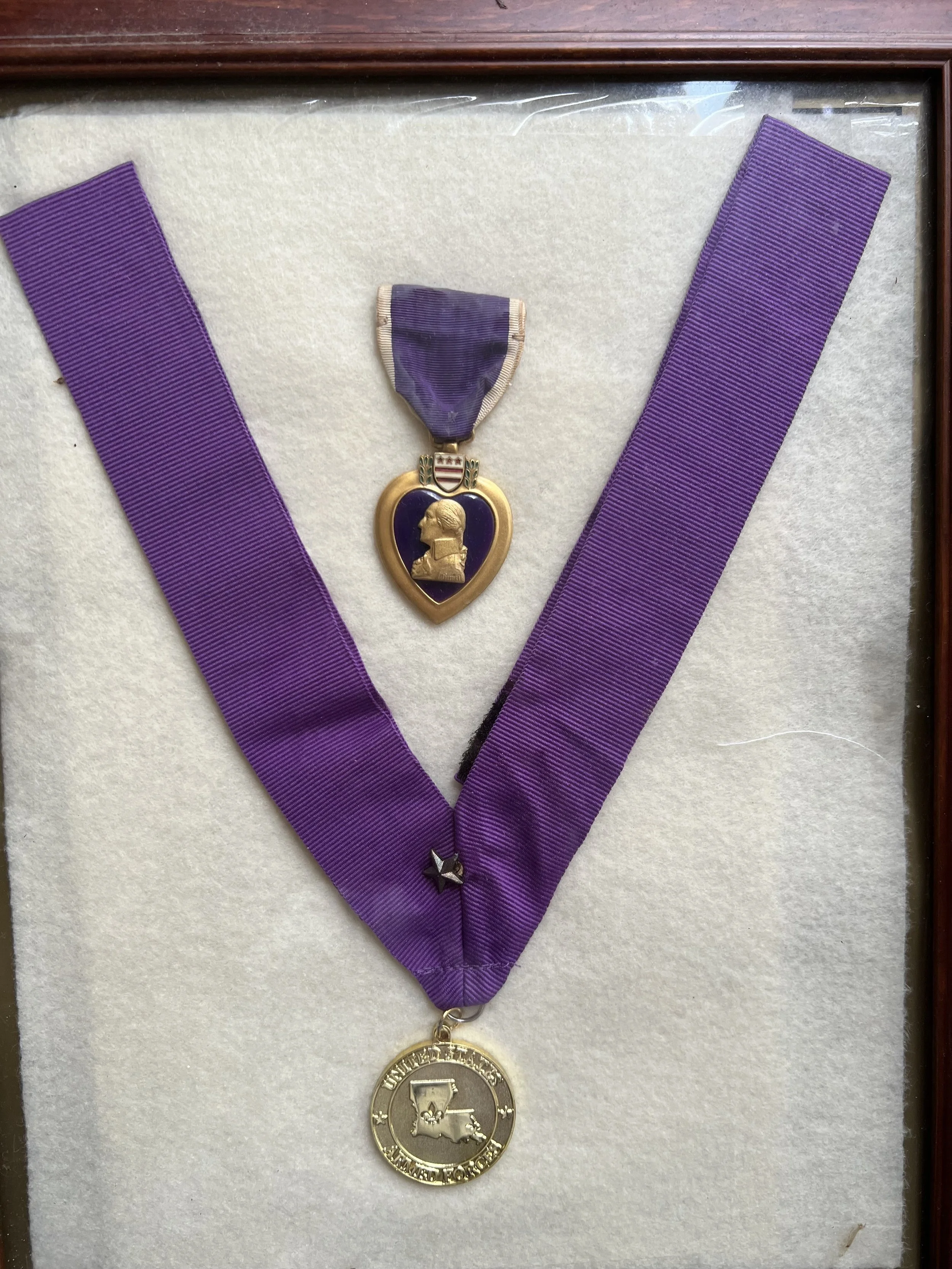Hilary Purple heart .jpeg