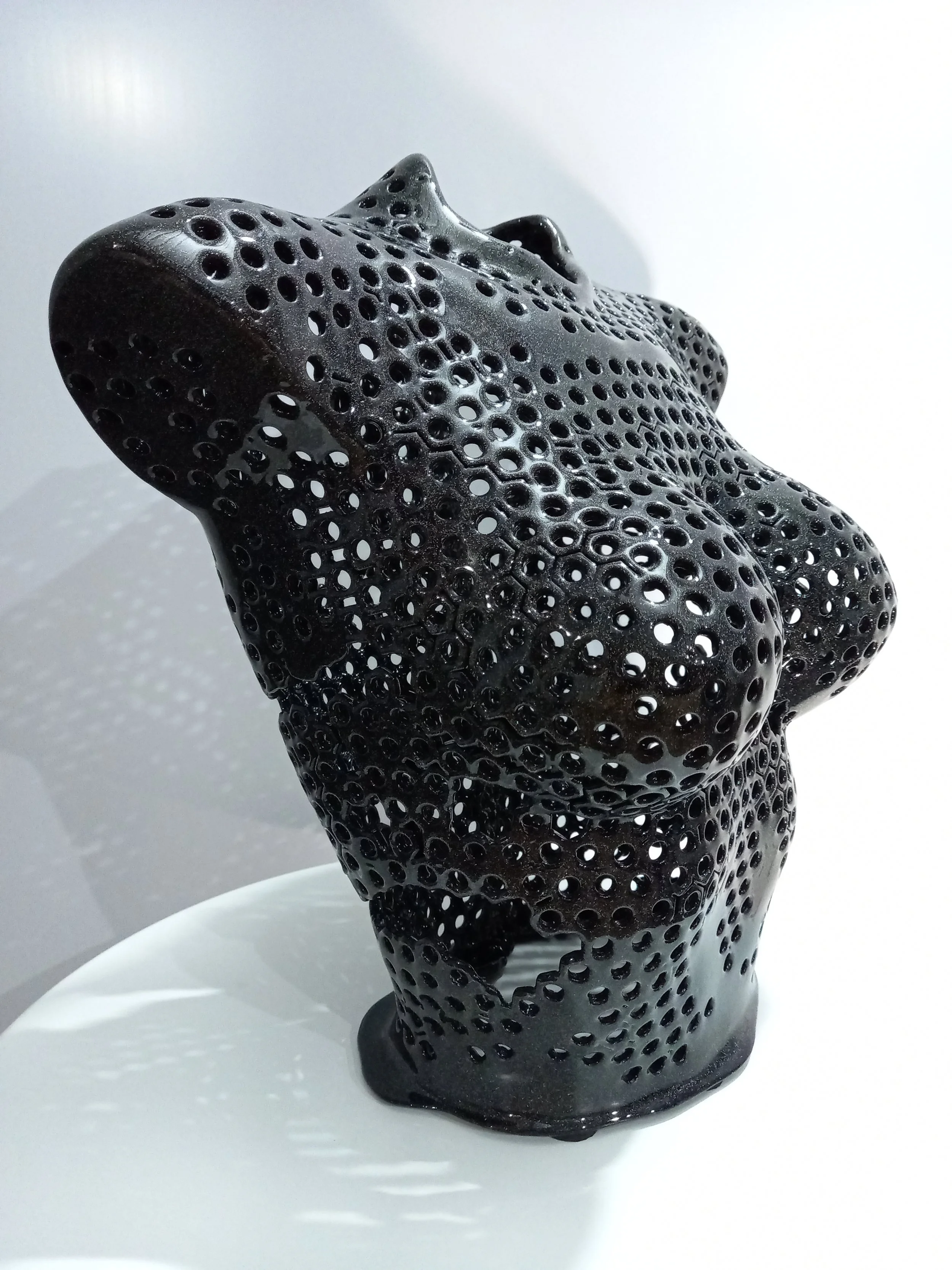 dark angel front facing right.jpg