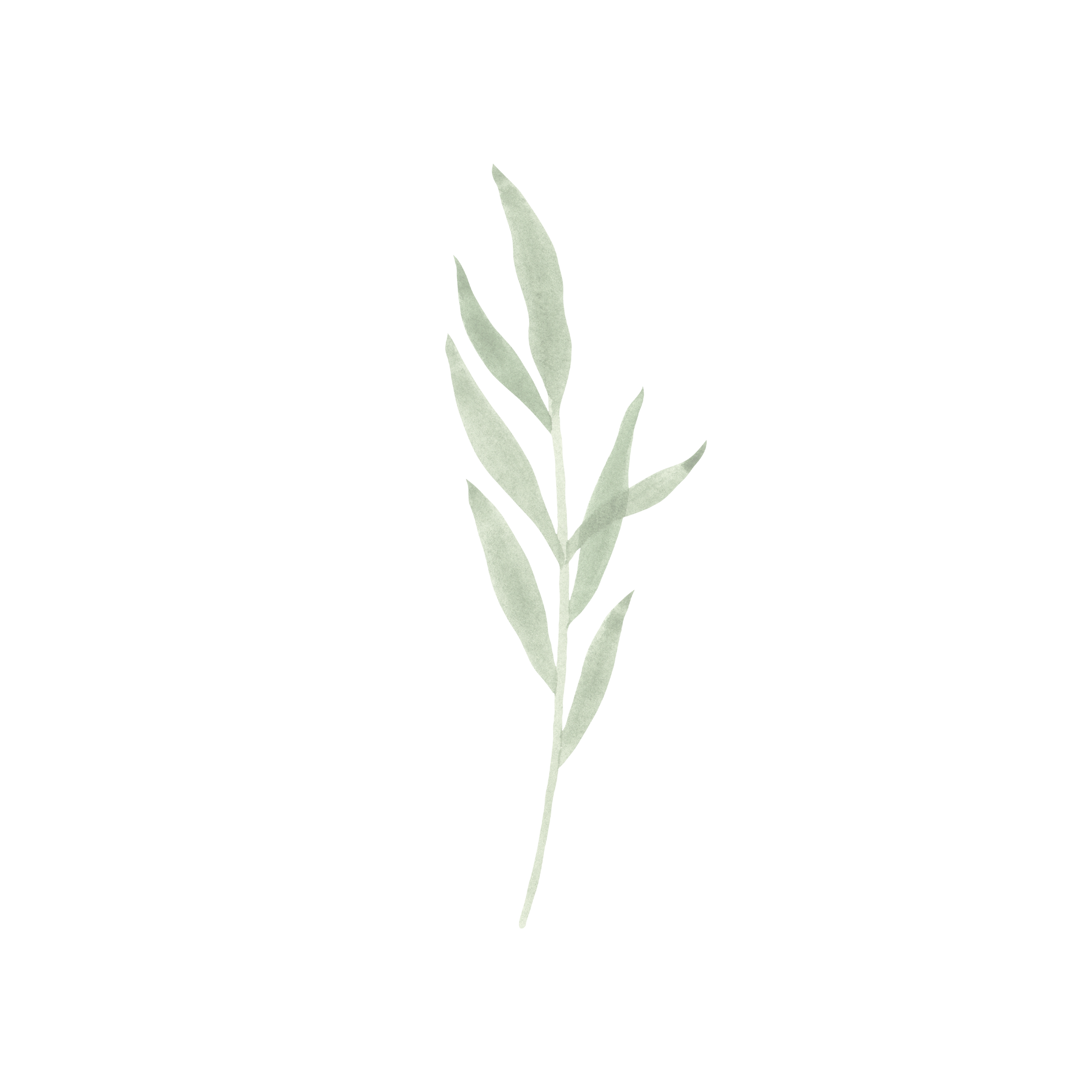 The Wilderness Lodge Icon.png