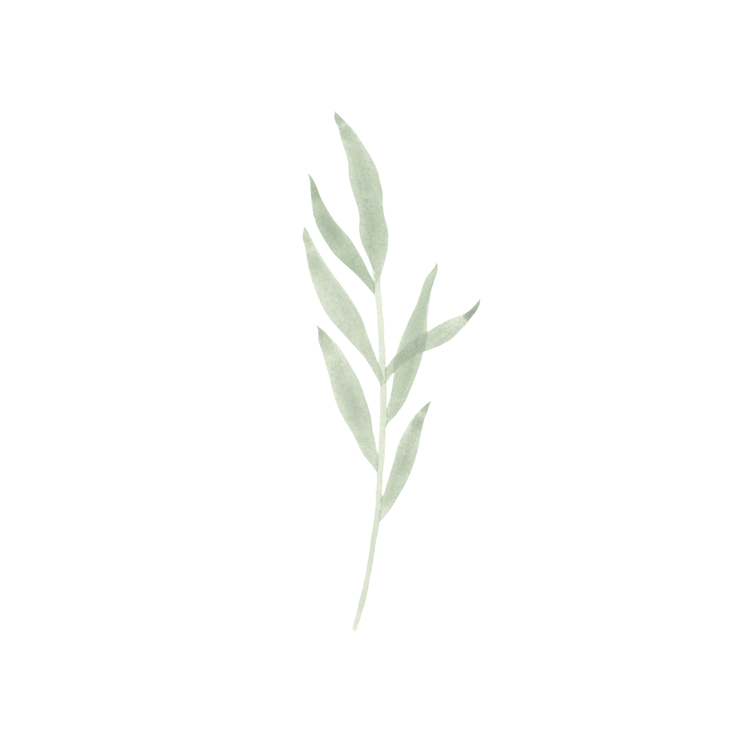 The Wilderness Lodge Icon.png