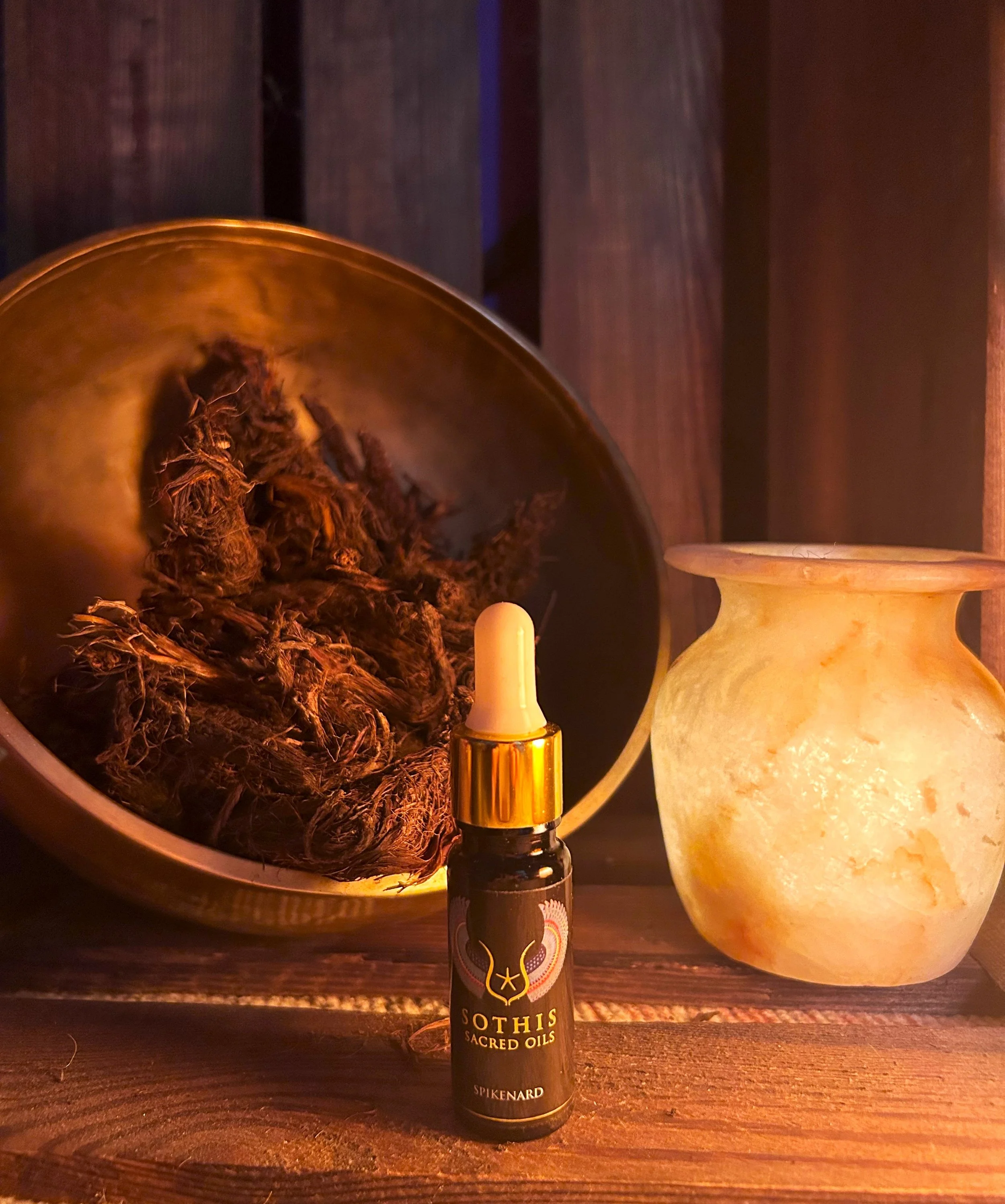 Cathars, and the Mystery of the Consolamentum