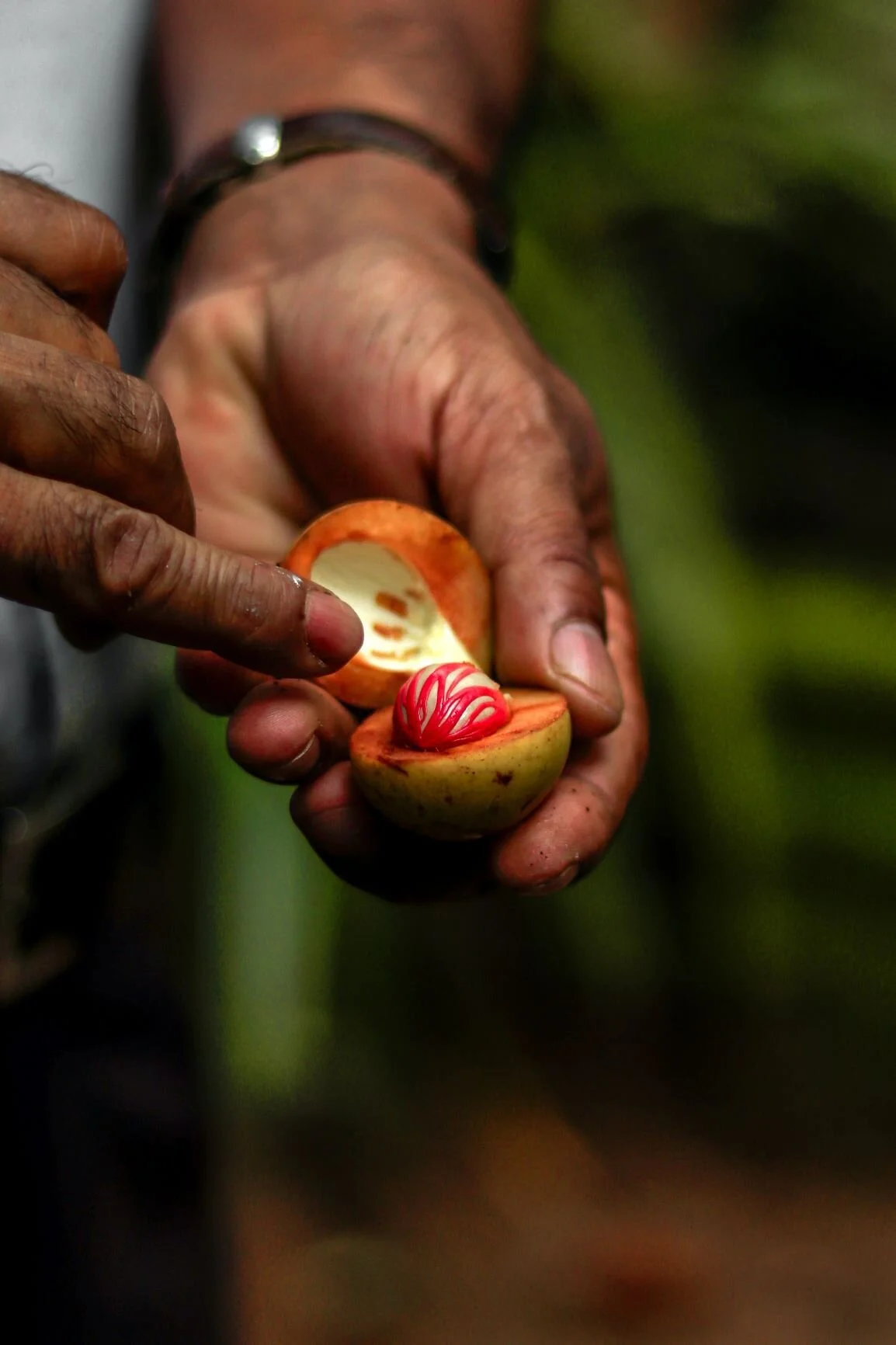 Health benefits of organic apple cider vinegarPhoto by Jacek Dylag on Unsplash