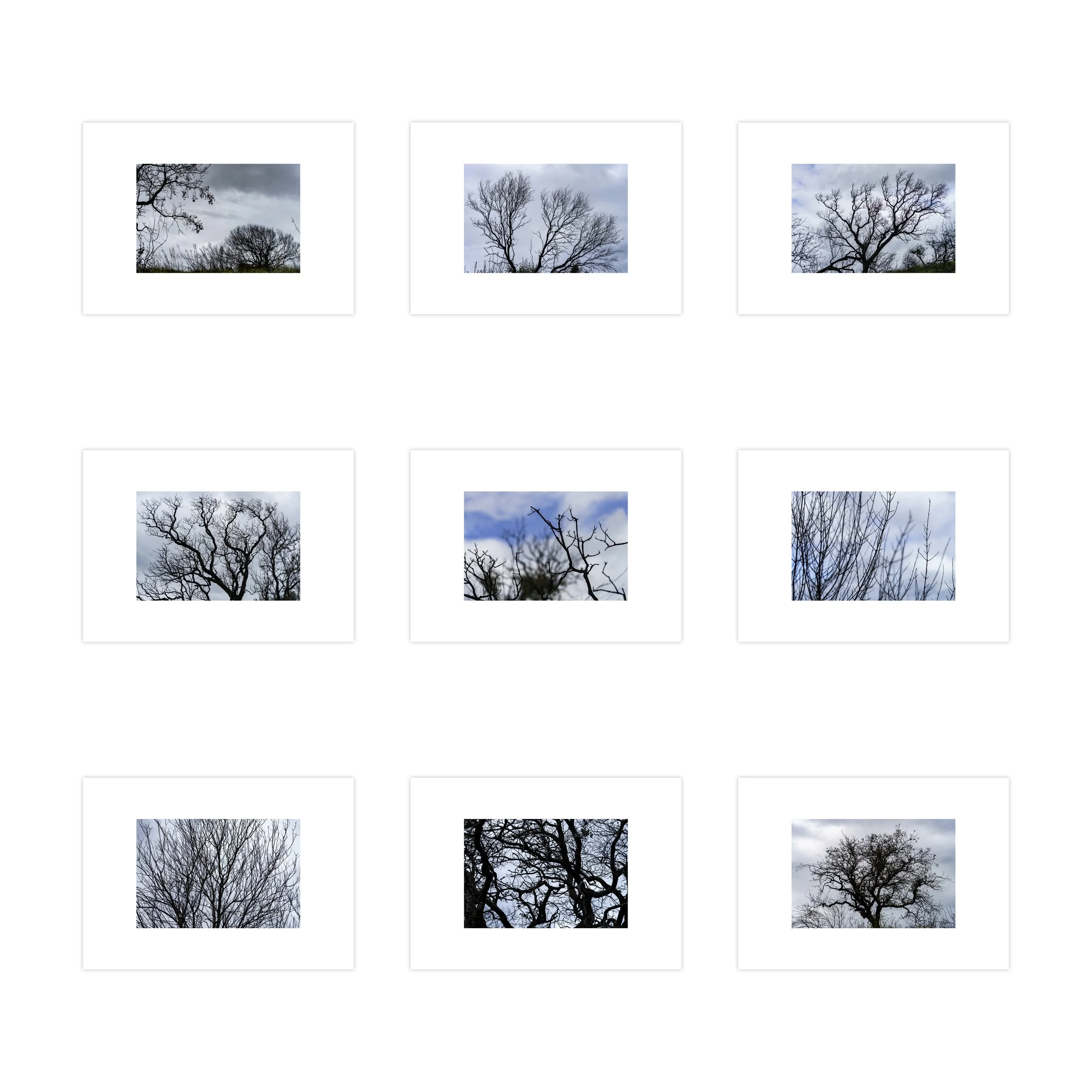 ZINHO II (nine photos) • Limited edition of 9 + 1 AP • print size 8,5 x 12,7 cm | paper size 14,8 x 21 cm • ref: JF0053