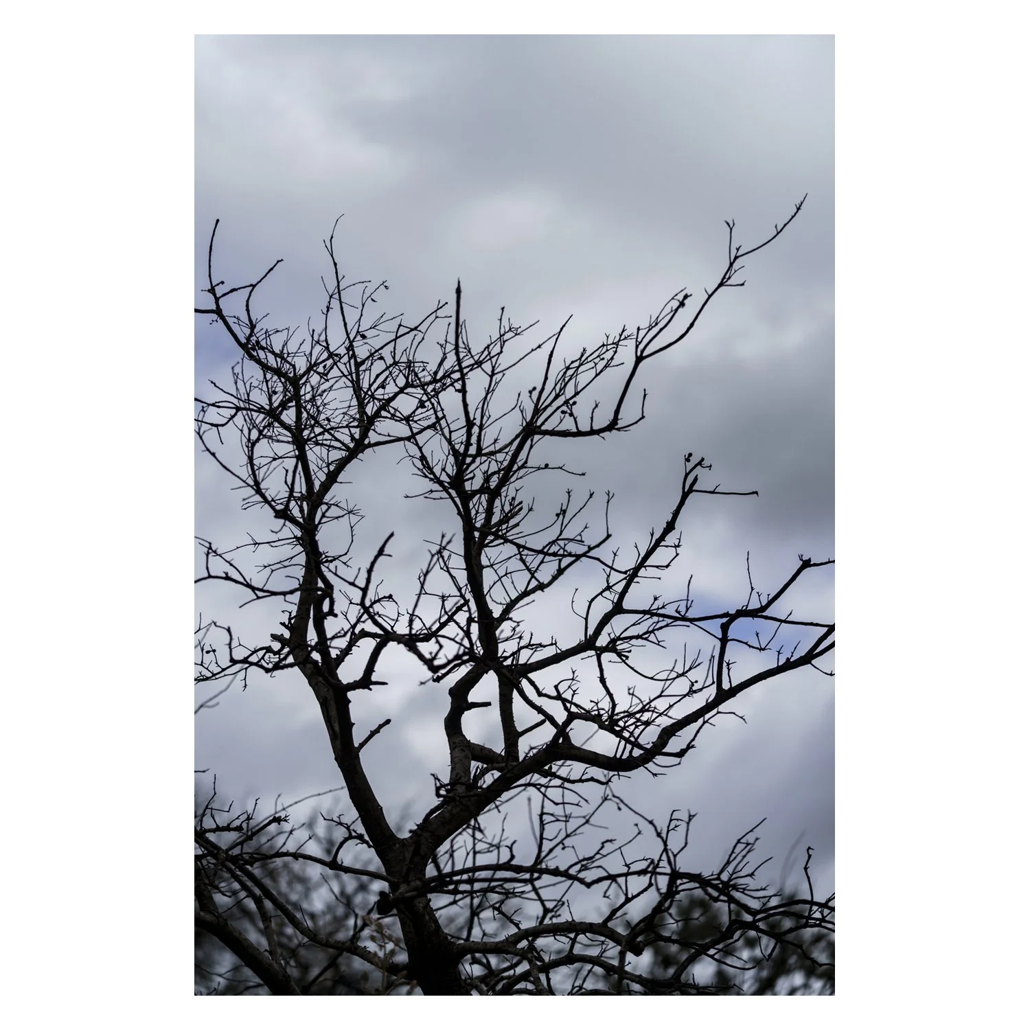 01_V_003_AZINHO-1.jpg