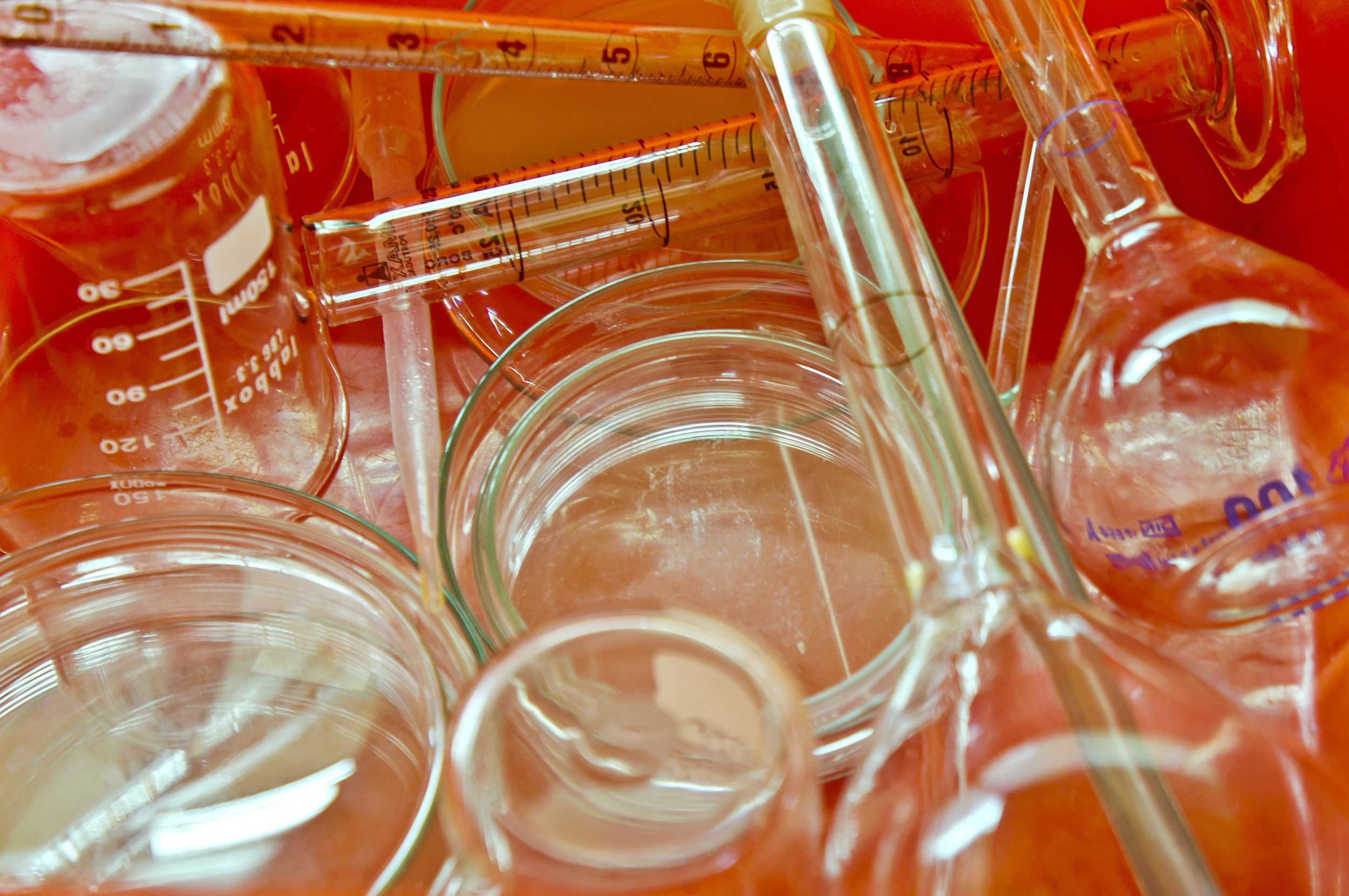 Assorted laboratory glassware including beakers, pipettes, and petri dishes.