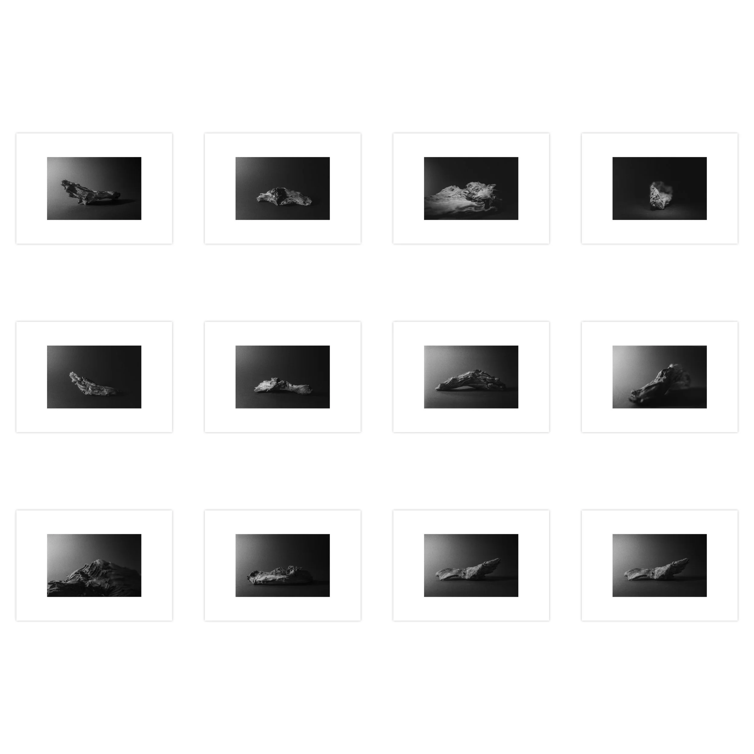 PINUS I (twelve photos) • Limited edition of 9 + 1 AP • print size 8,5 x 12,7 cm | paper size 14,8 x 21 cm • ref: JF0050