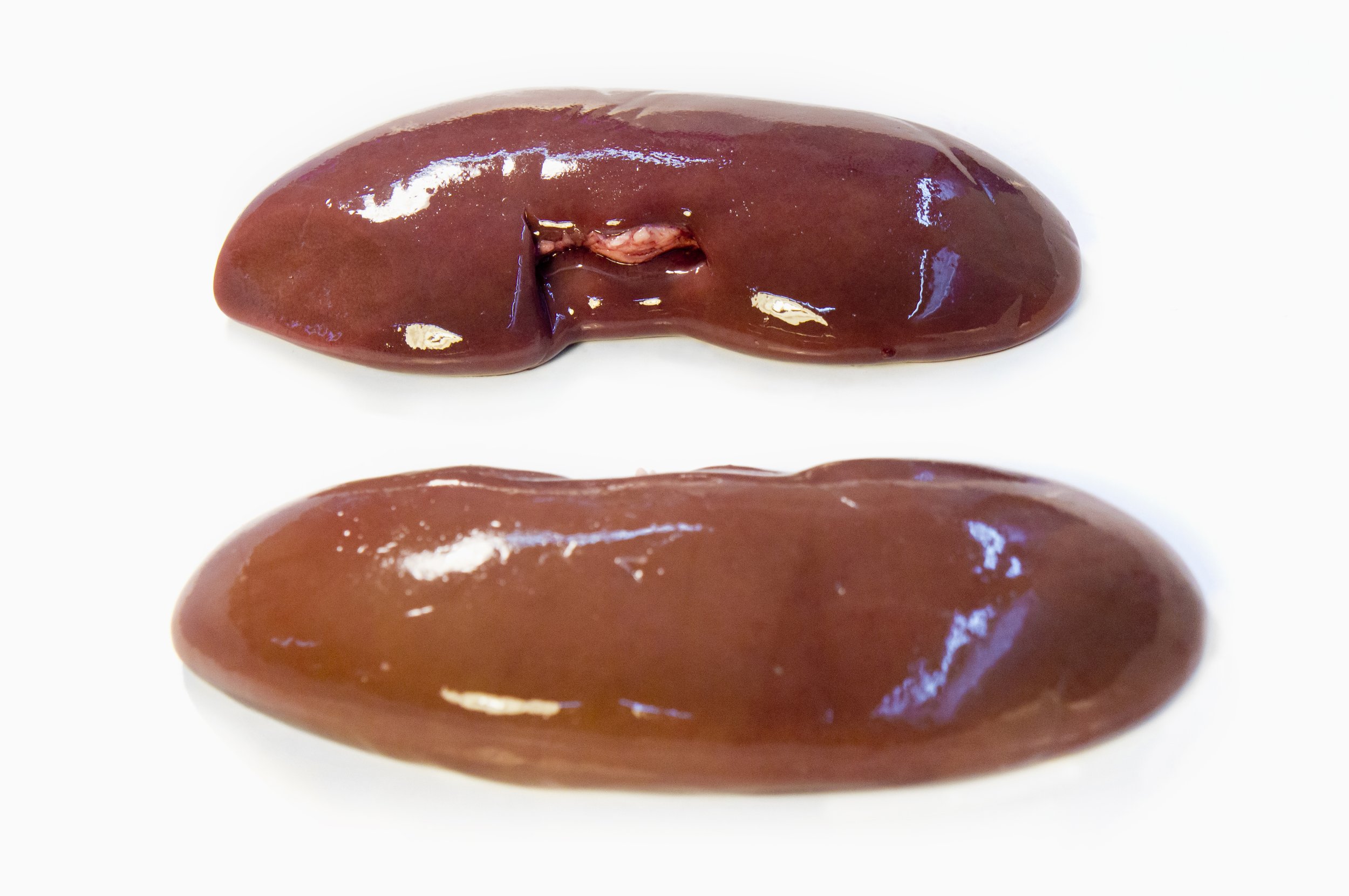 Raw beef kidneys on a white background.