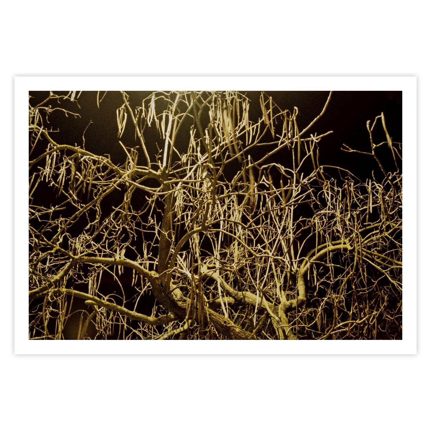 009 MADA • Limited edition of 15 + 1 AP • print size 34 x 51 cm | paper size 42 x 59,4 cm • ref: JF0054