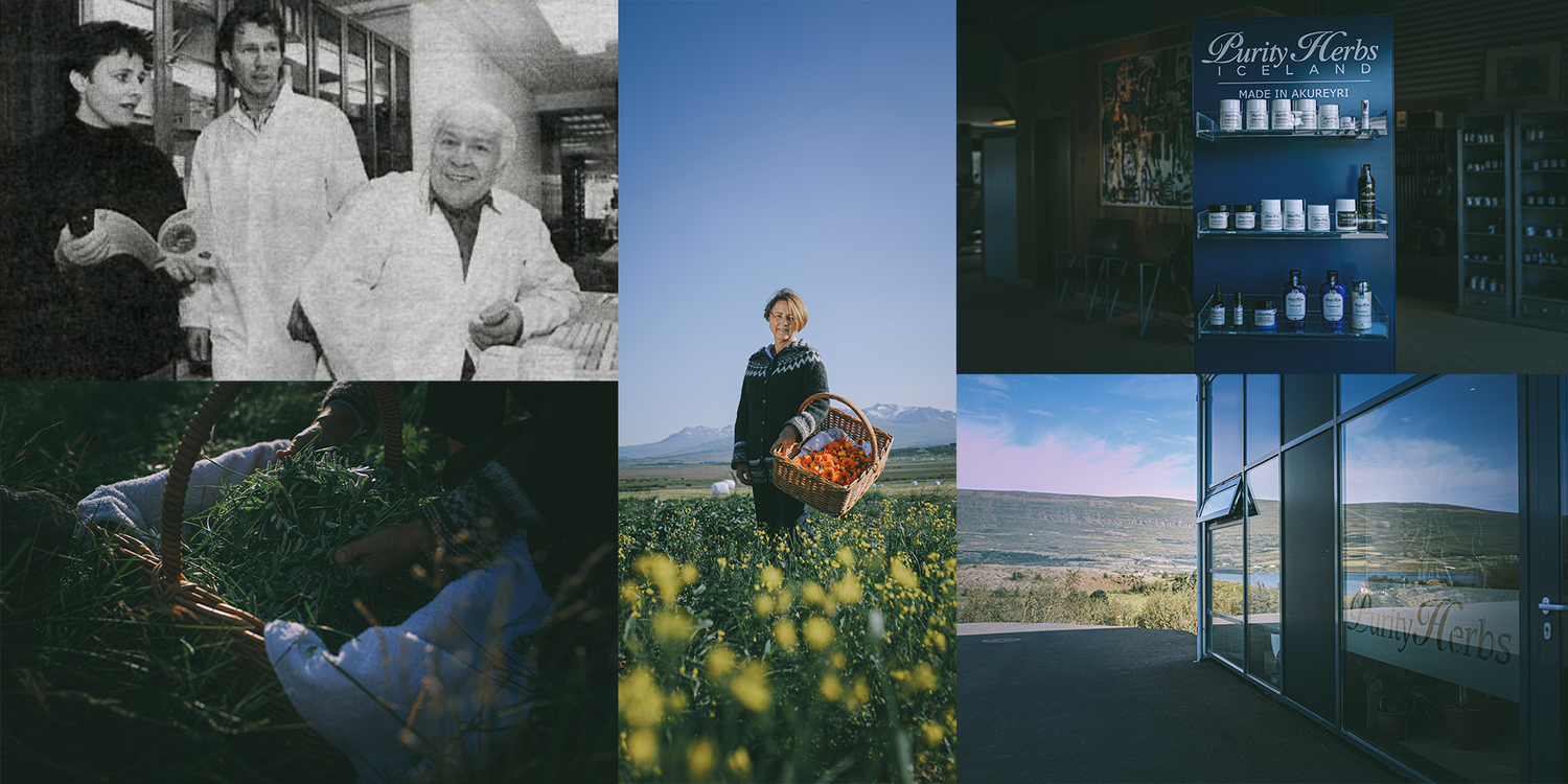 Purity Herbs — our story in Iceland