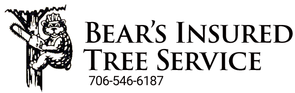 Bear&#39;s Insured Tree Service