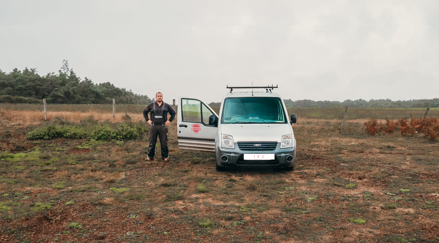 Ipswich Pest Control Mole Catcher Wasp Nest Removal