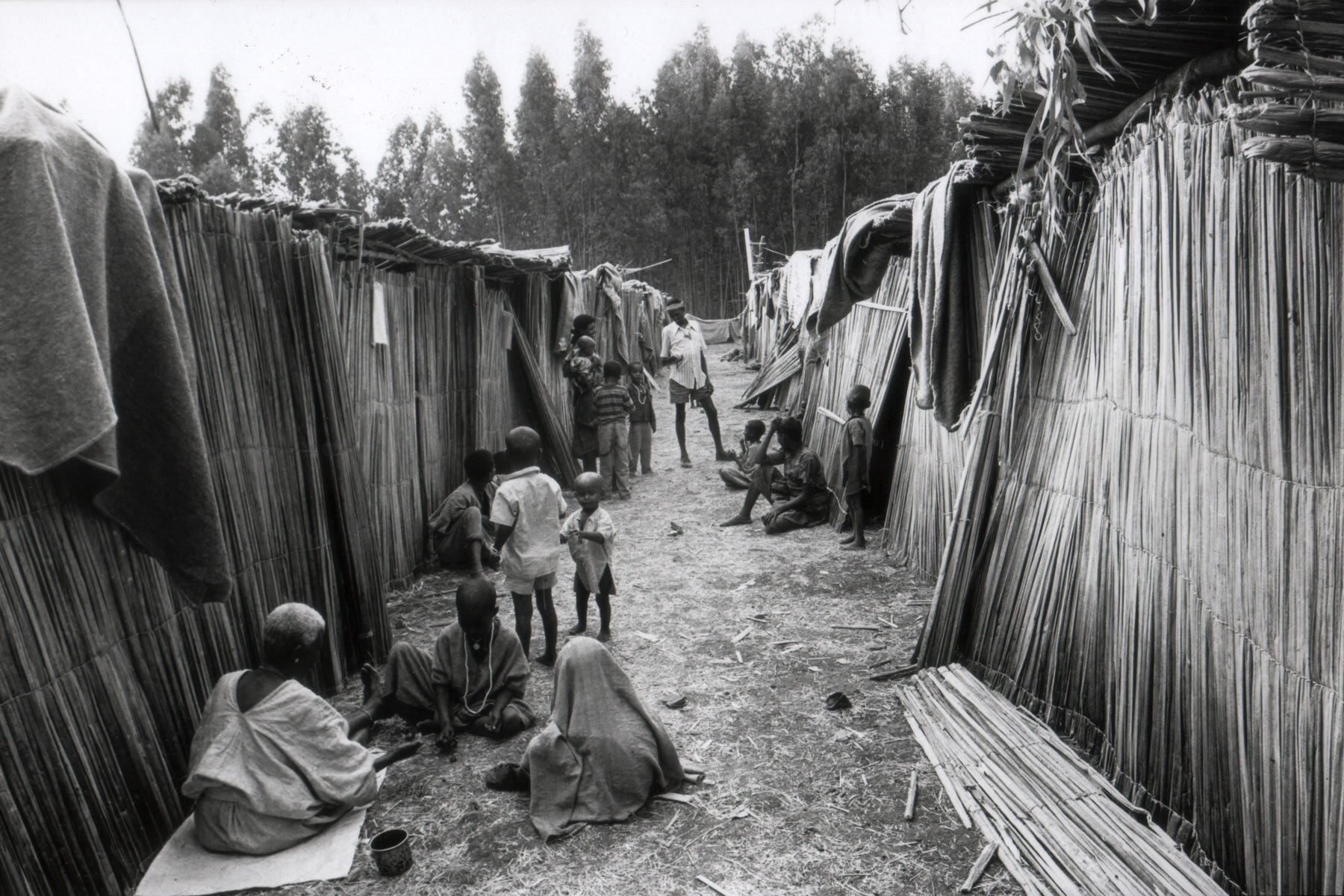 Compound in Teda, Ethiopia